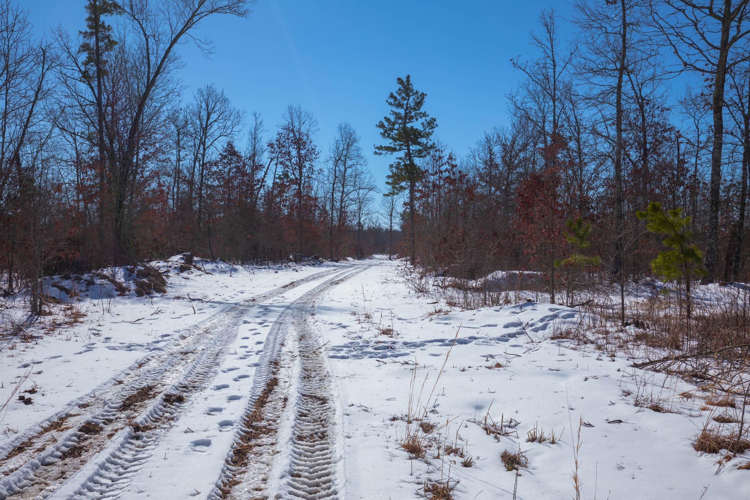 Sleepy Hollow Phase I Tract 40 photo 1