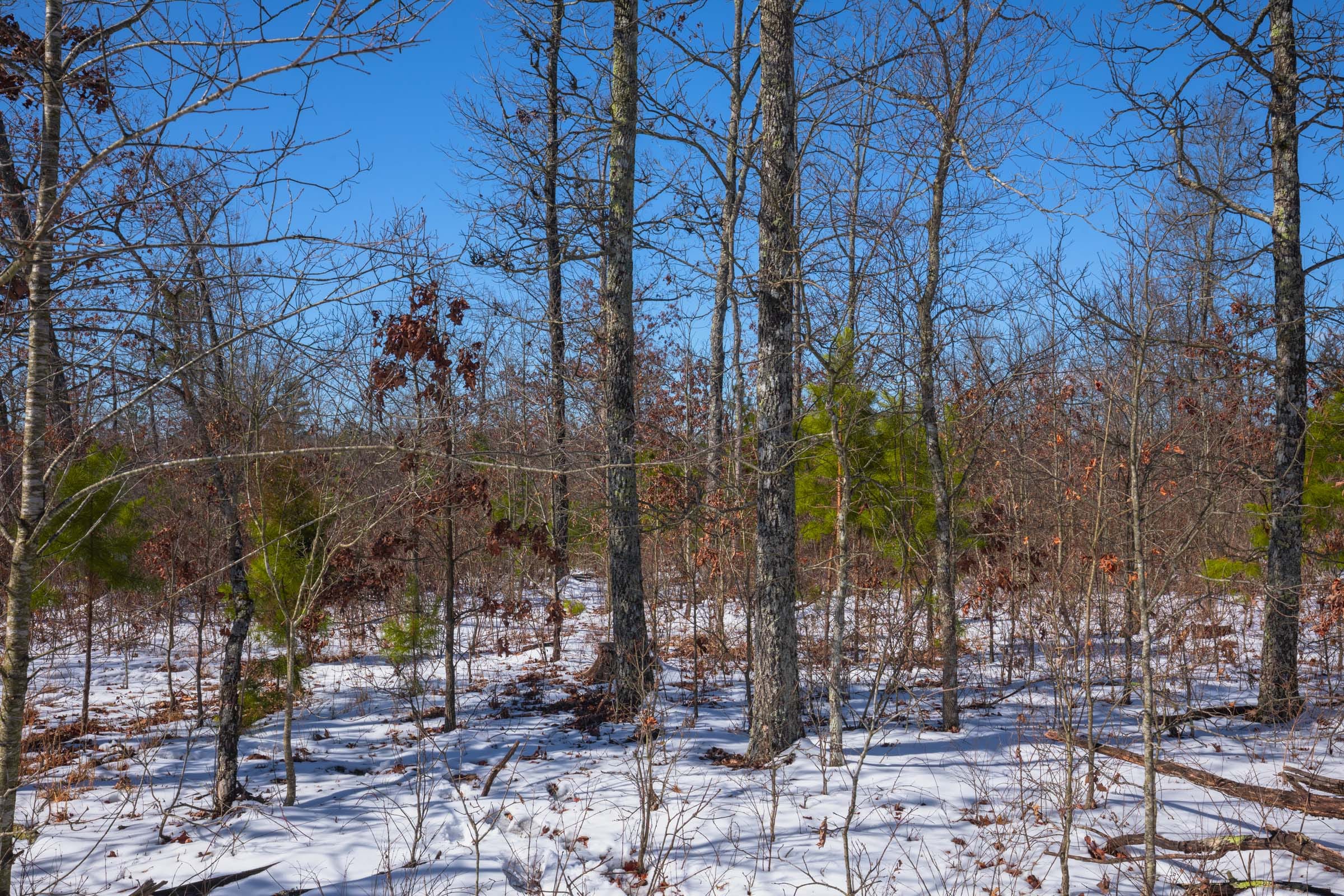 Sleepy Hollow Phase I Tract 40 photo 3