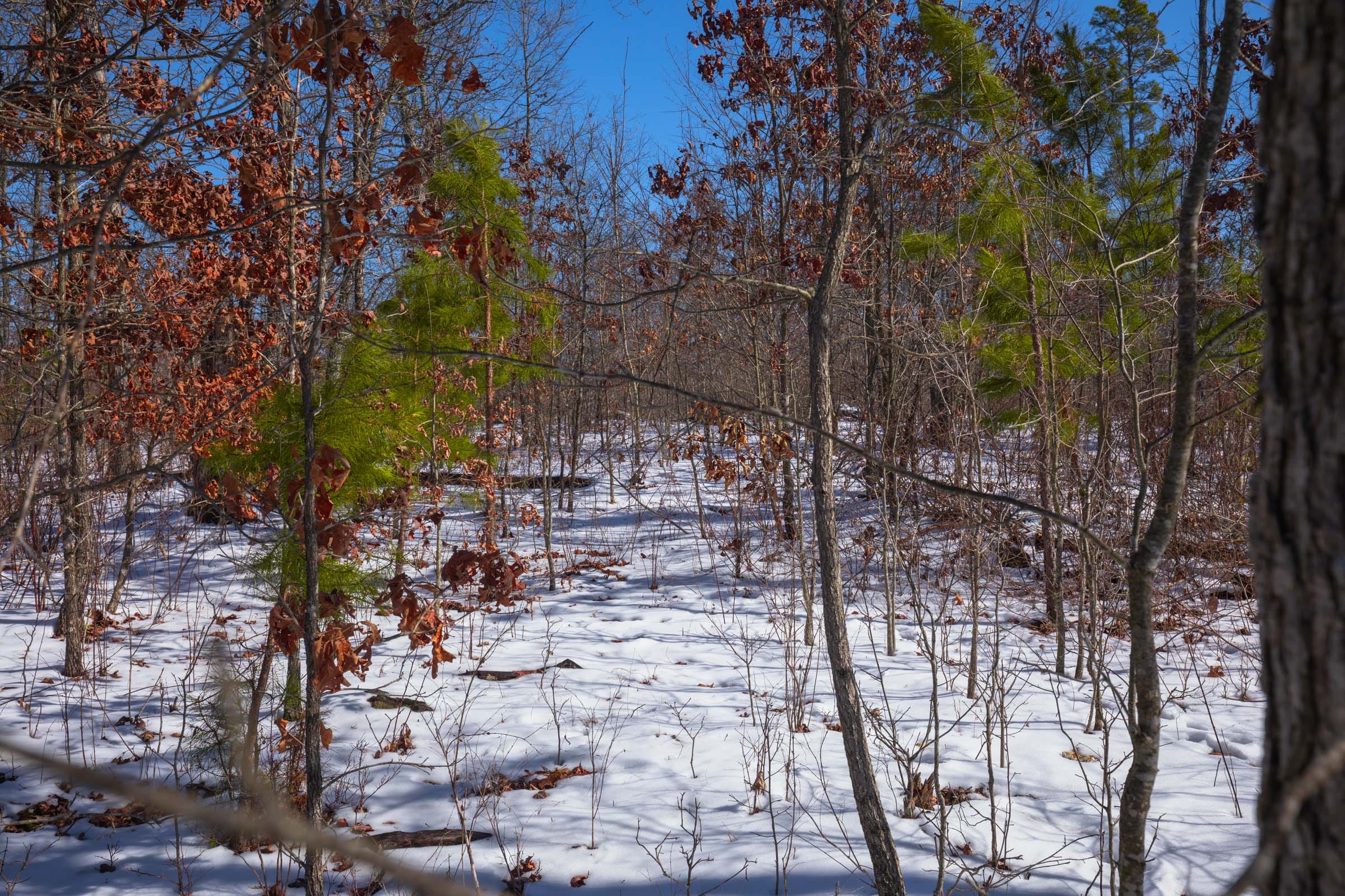 Sleepy Hollow Phase I Tract 40 photo 6