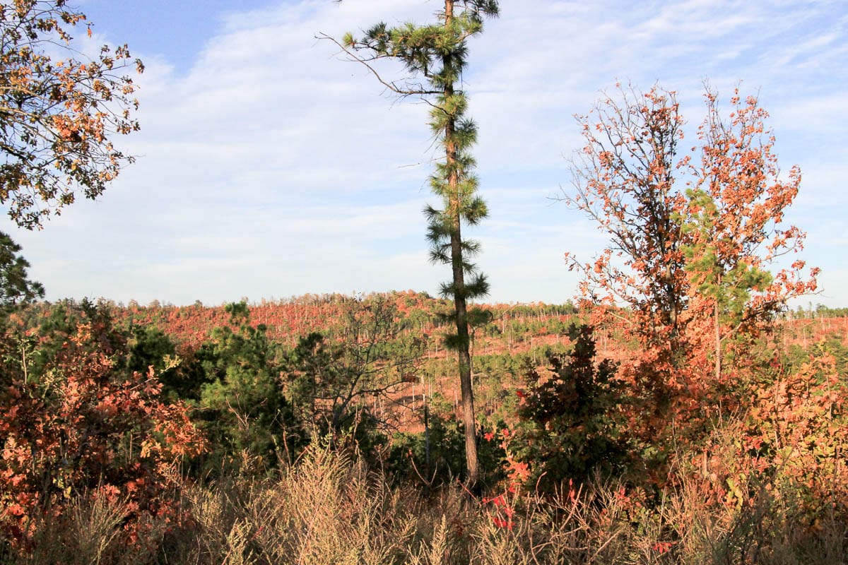 Stone Creek Phase III Tract 42 photo 2