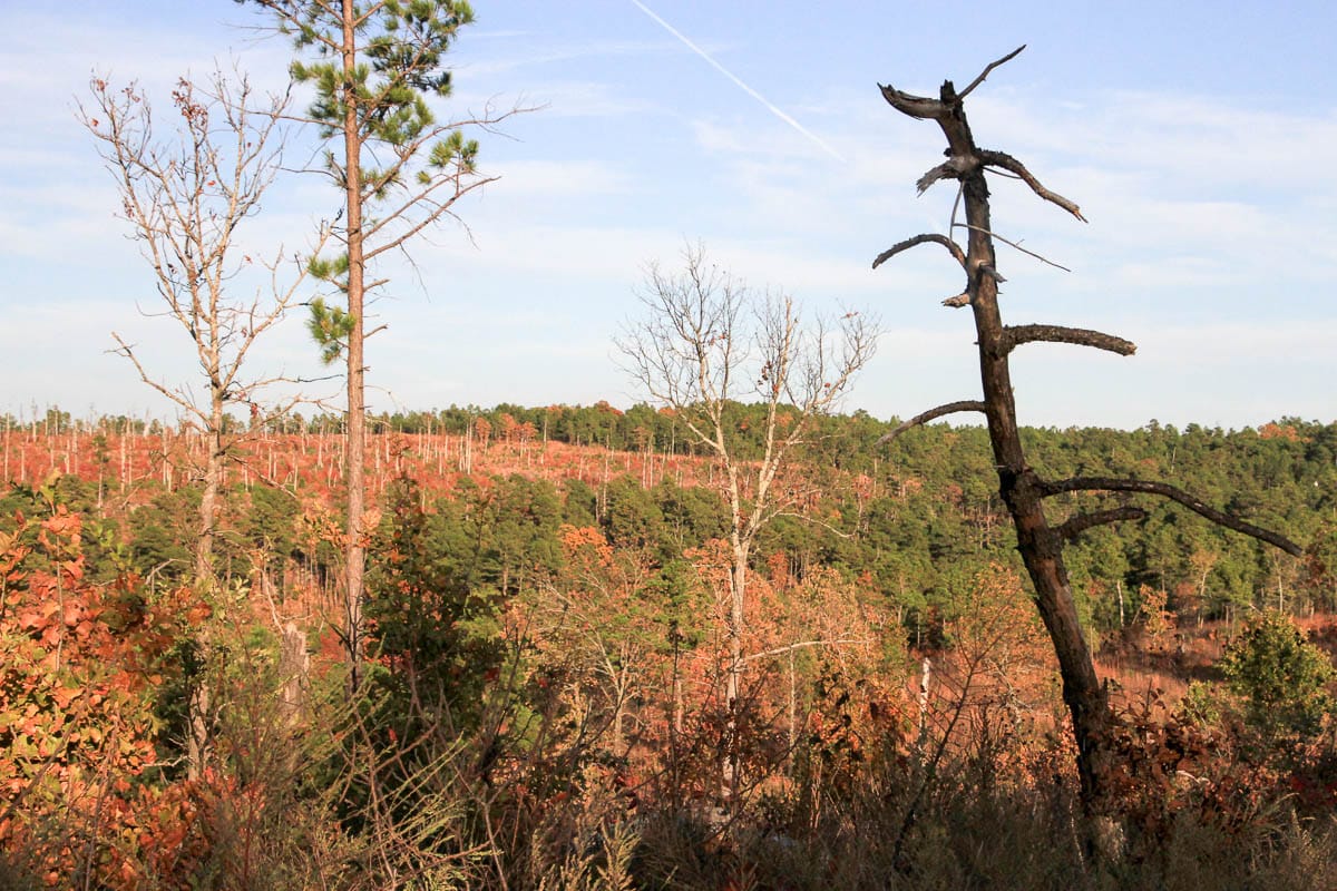 Stone Creek Phase III Tract 42 photo 3