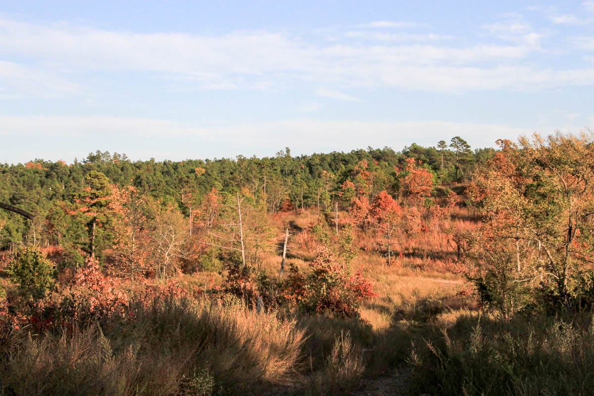 Stone Creek Phase III Tract 42 photo 4