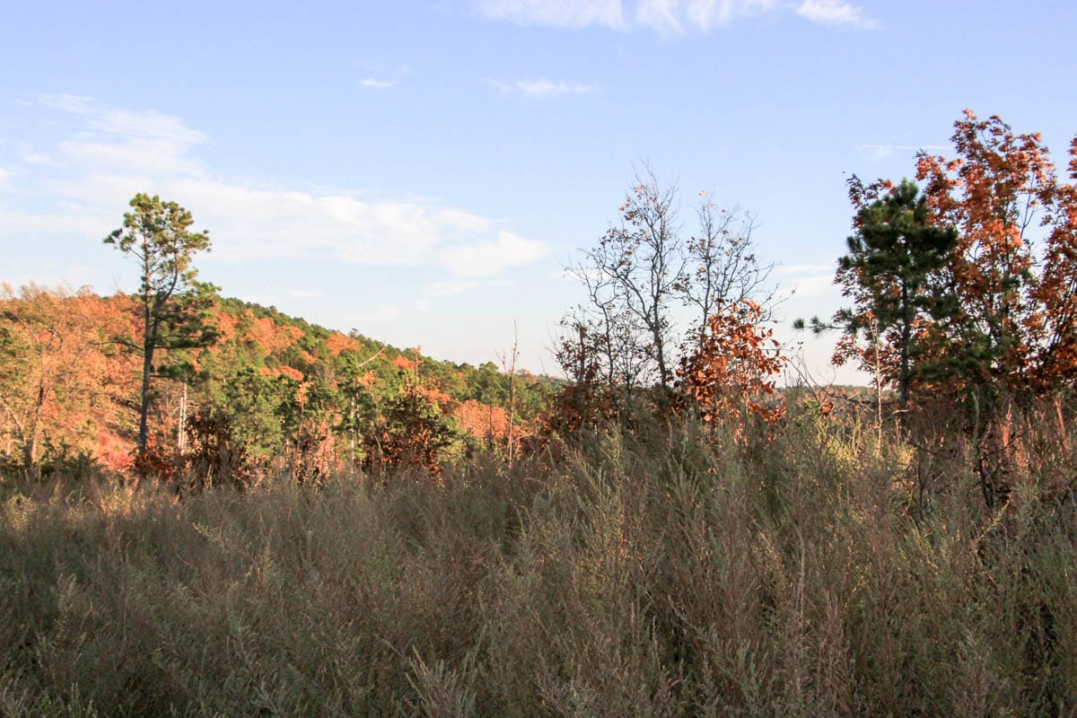 Stone Creek Phase III Tract 42 photo 5