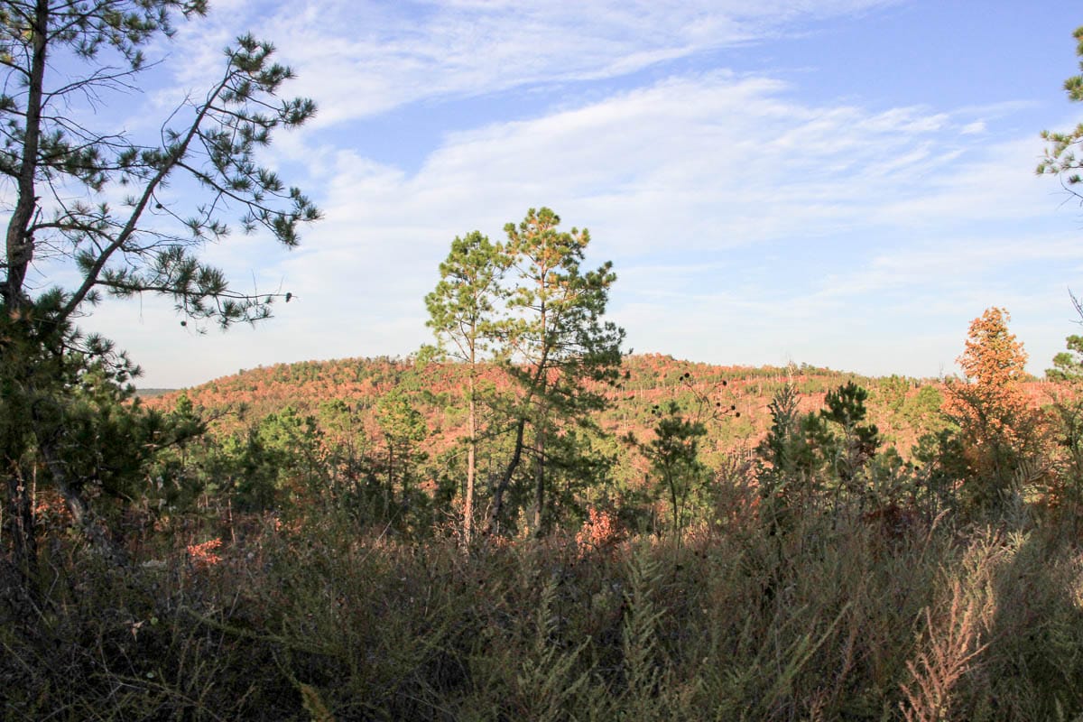 Stone Creek Phase III Tract 42 photo 8