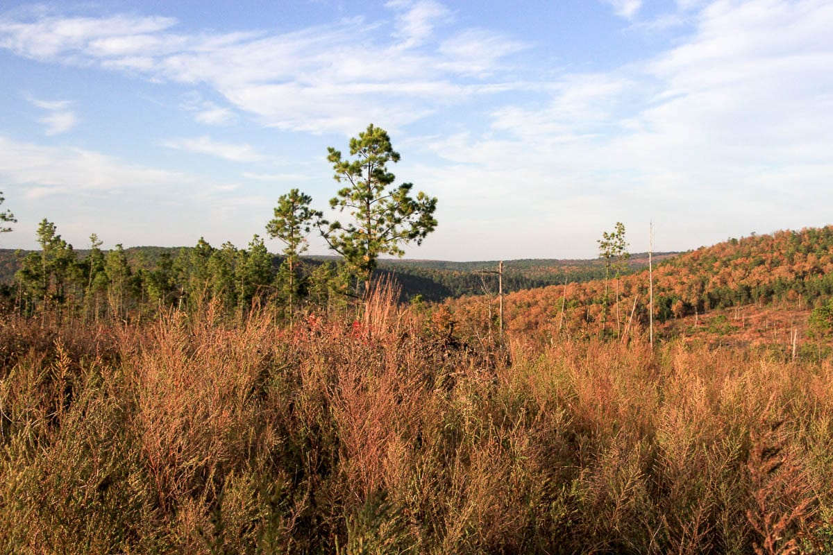 Stone Creek Phase III Tract 42 photo 9