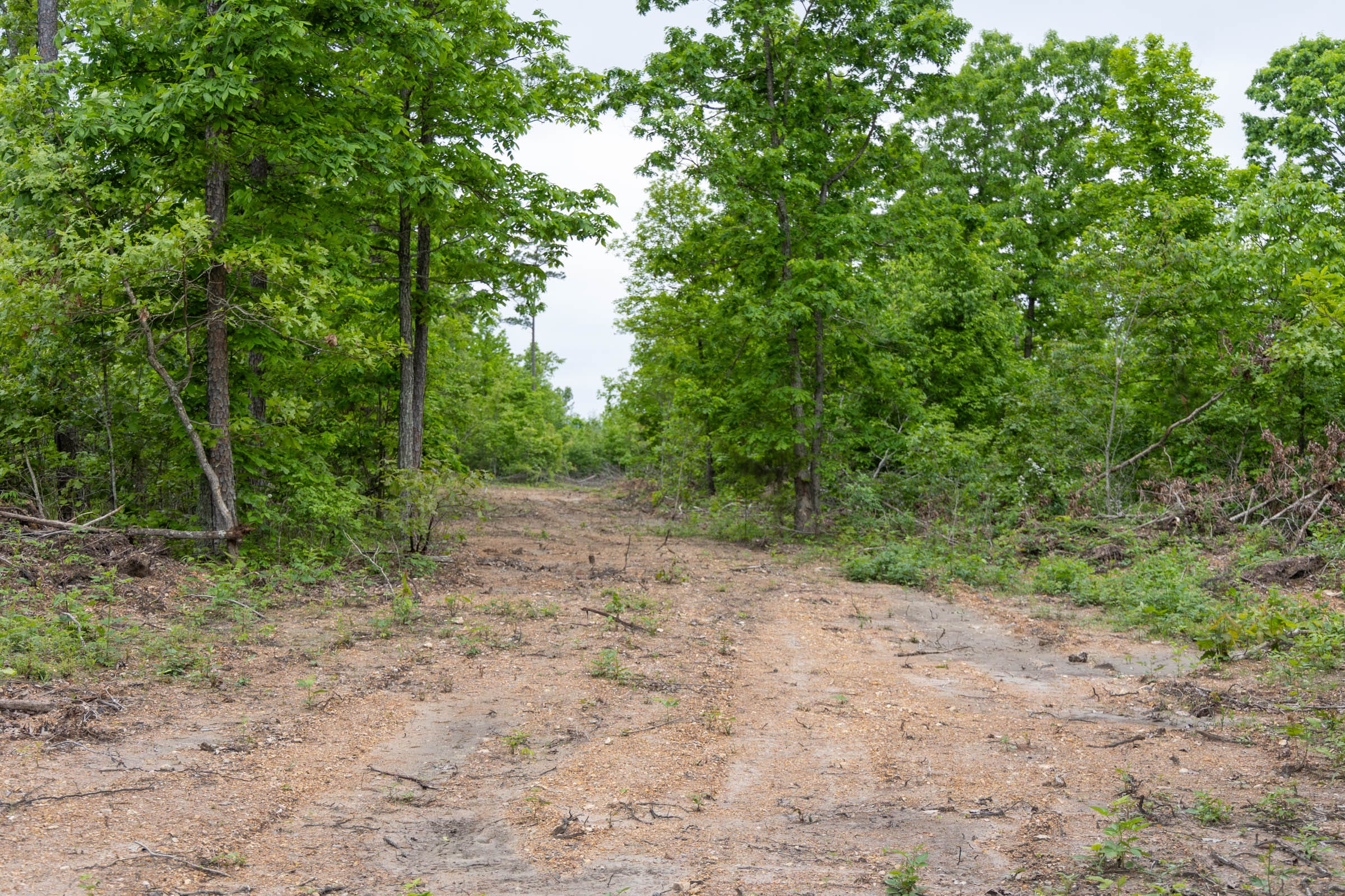 Sleepy Hollow Phase II Tract 88 photo 3