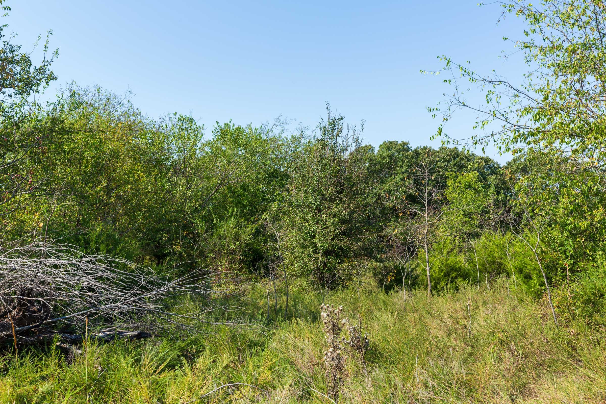 Canyon Creek Tract 13 photo 10