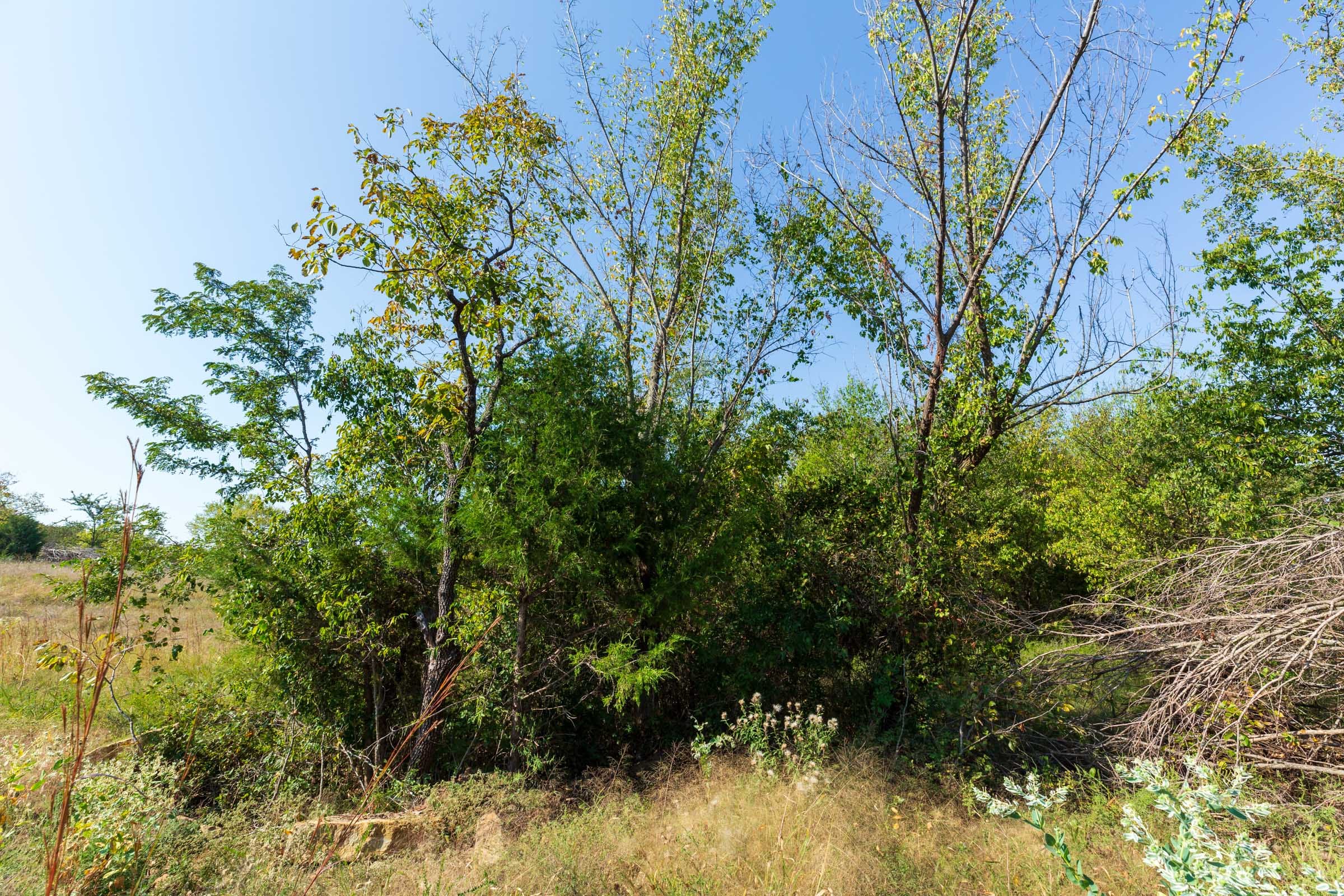 Canyon Creek Tract 13 photo 11