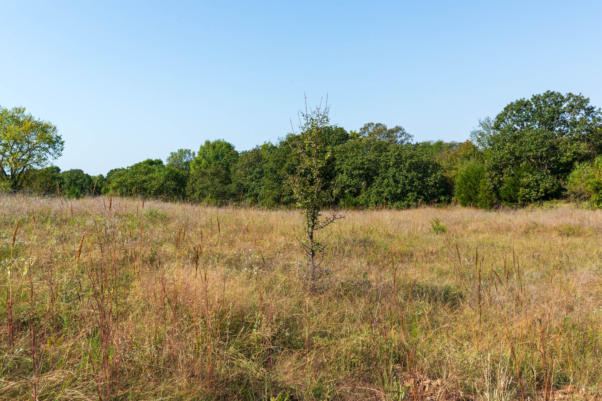 Canyon Creek Tract 13 photo 5