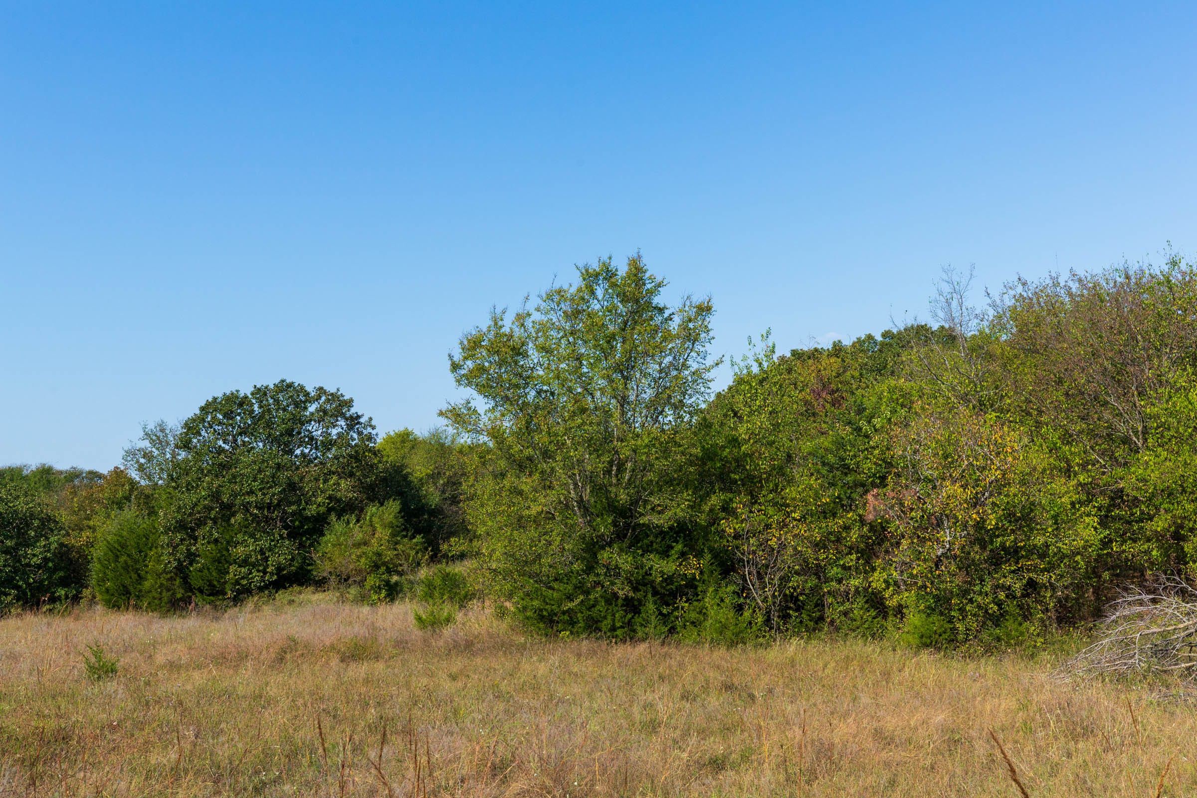 Canyon Creek Tract 13 photo 8