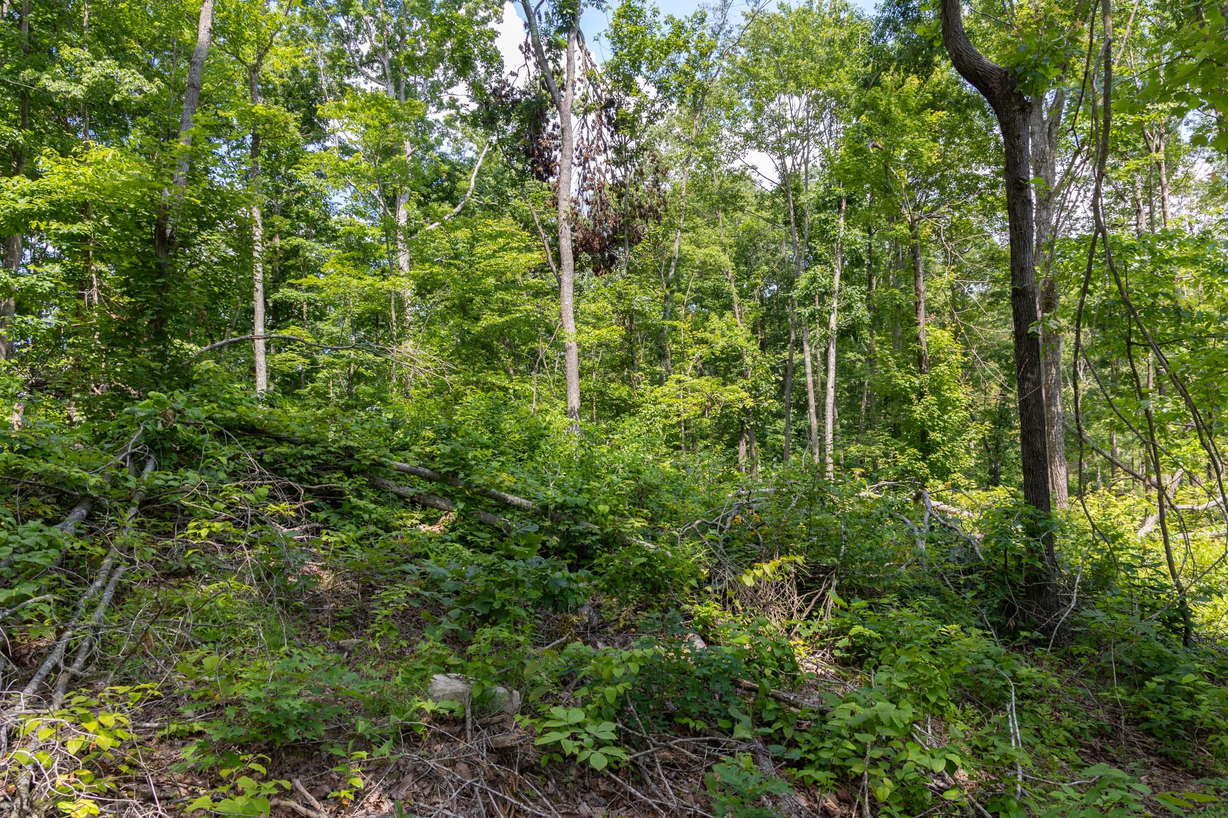 Creek Hollow Phase II Tract 59 photo 1