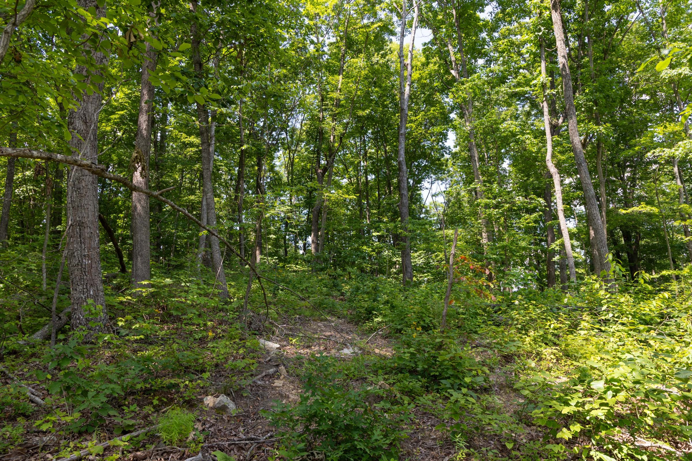 Creek Hollow Phase II Tract 59 photo 11