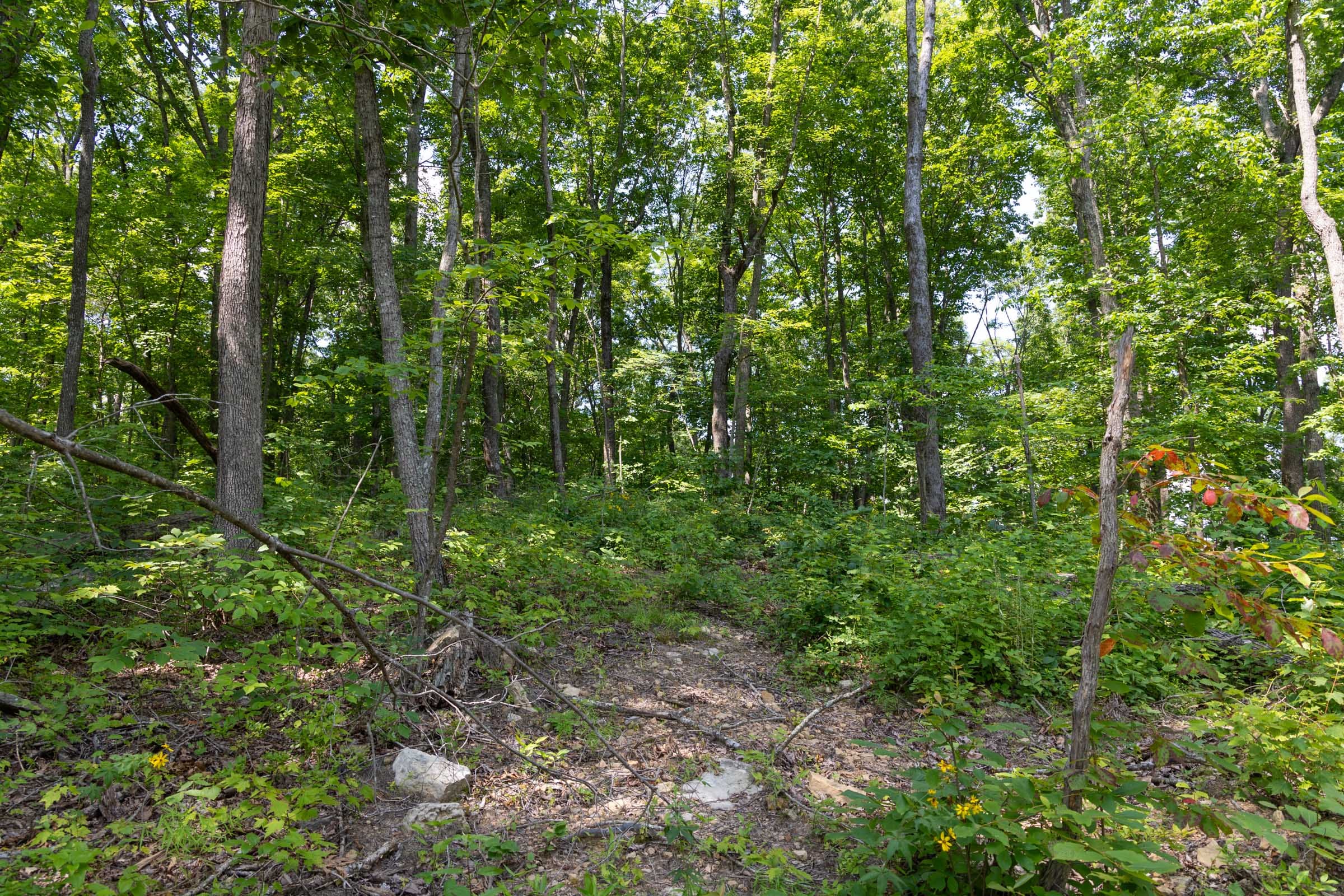 Creek Hollow Phase II Tract 59 photo 7