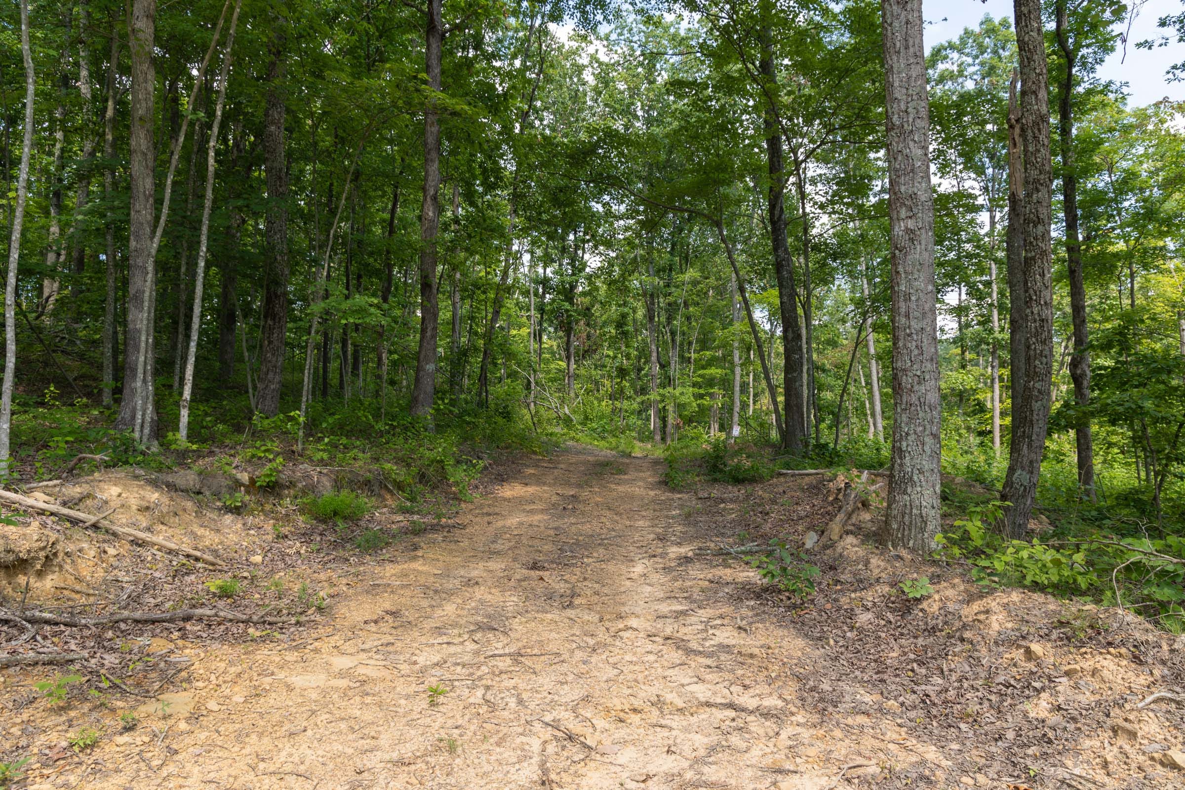 Creek Hollow Phase II Tract 59 photo 2