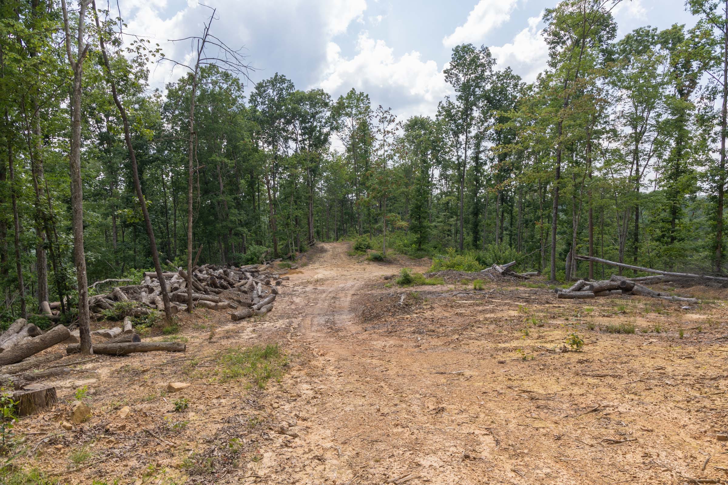 Creek Hollow Phase II Tract 59 photo 5