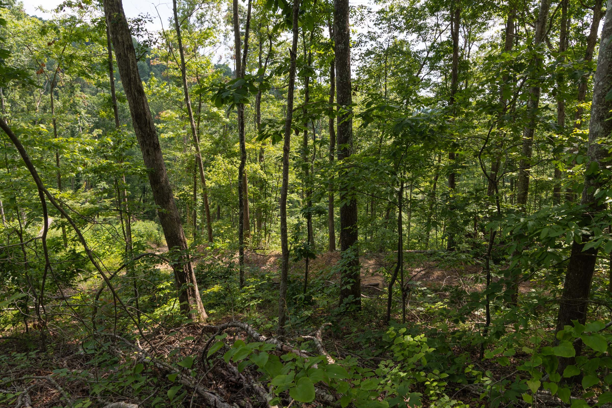 Creek Hollow Phase II Tract 59 photo 10