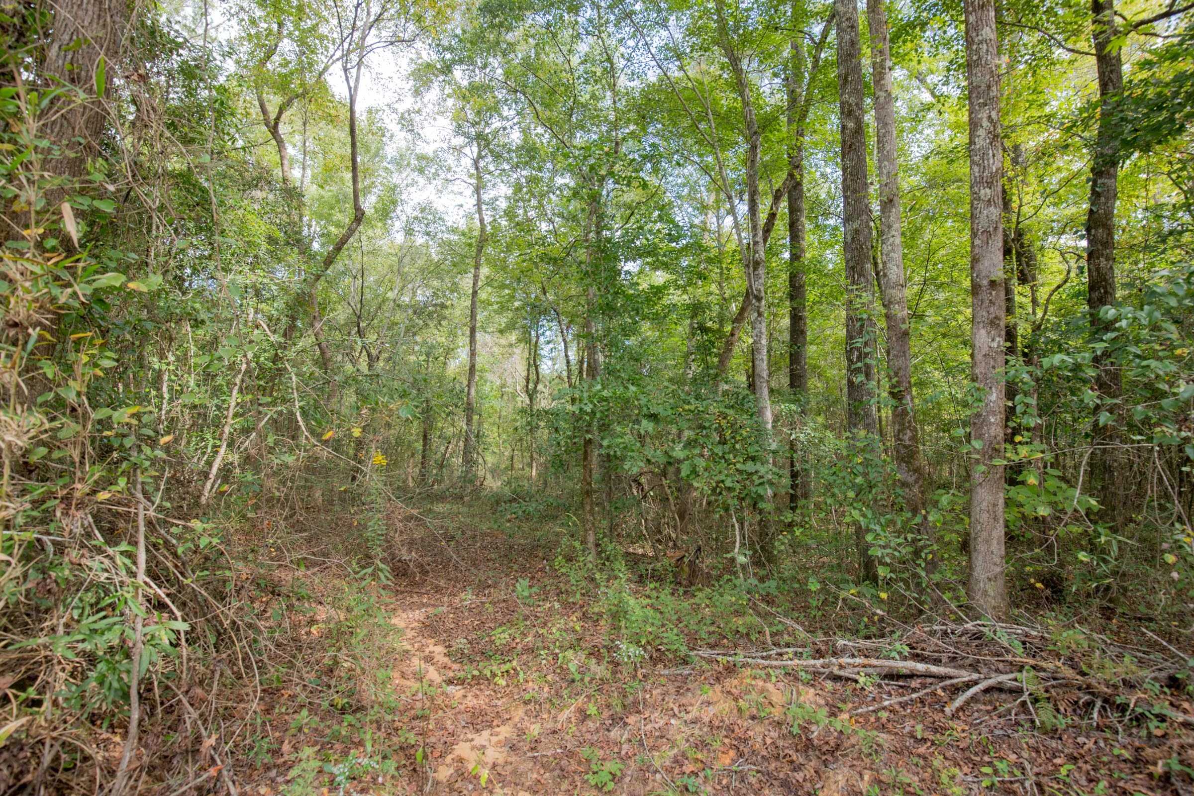 Sky Ranch Tract 12 photo 6