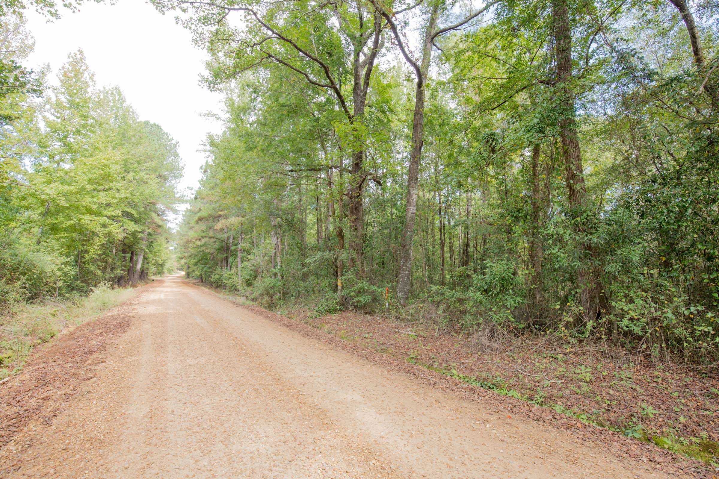 Sky Ranch Tract 12 photo 8