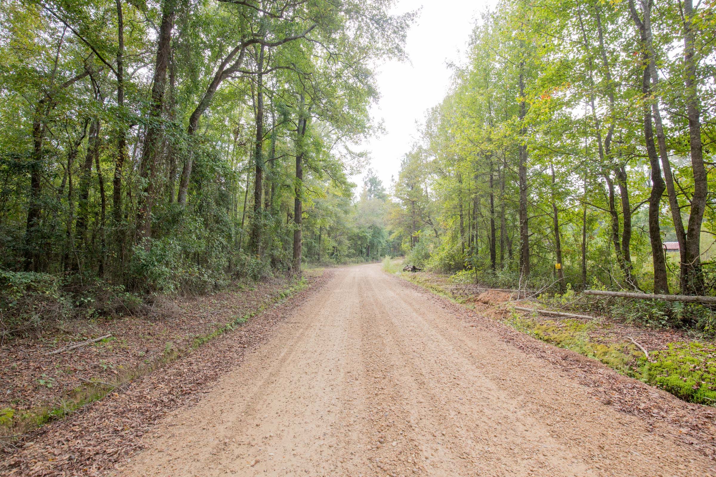 Sky Ranch Tract 12 photo 3