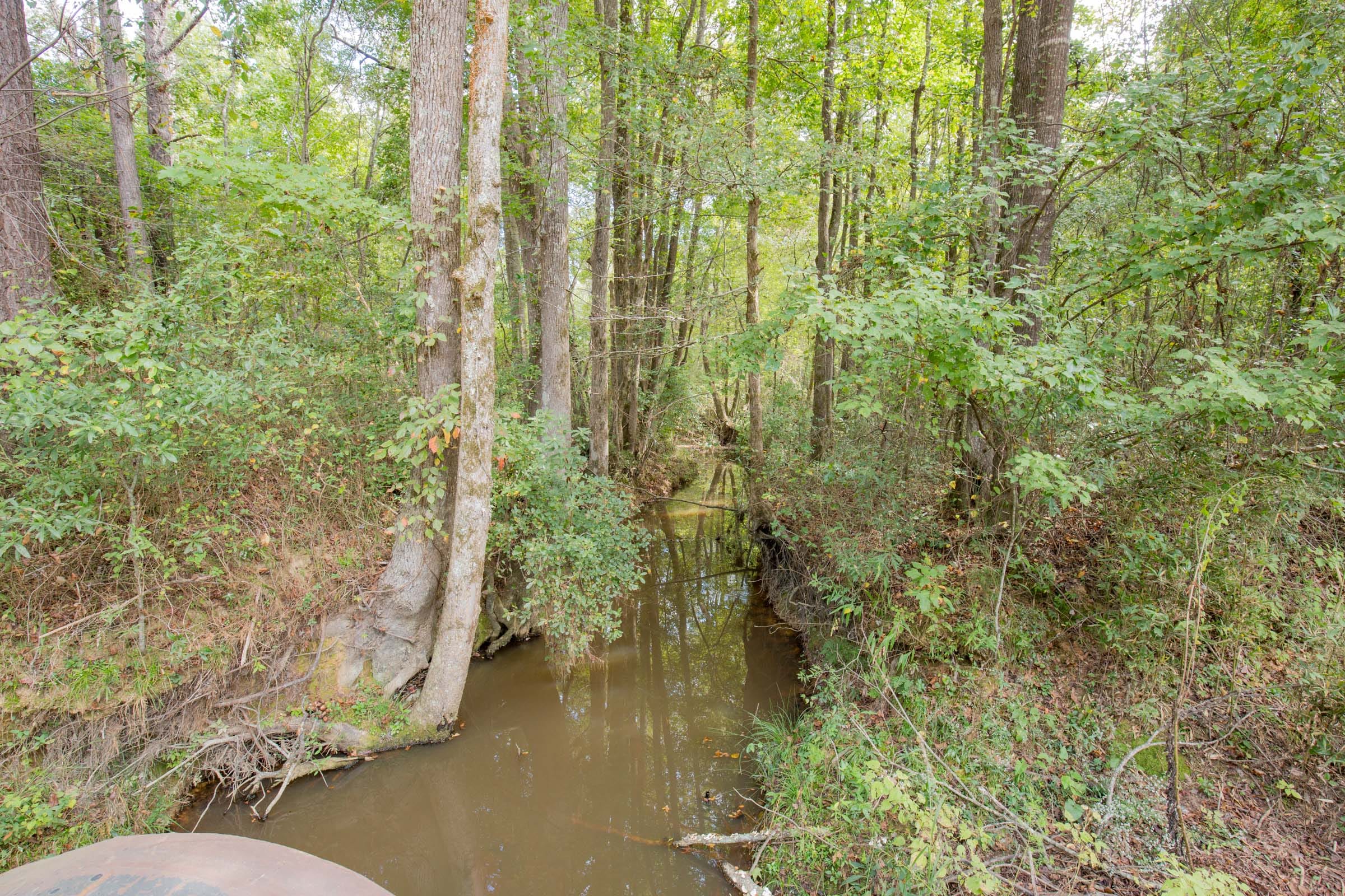 Sky Ranch Tract 12 photo 2