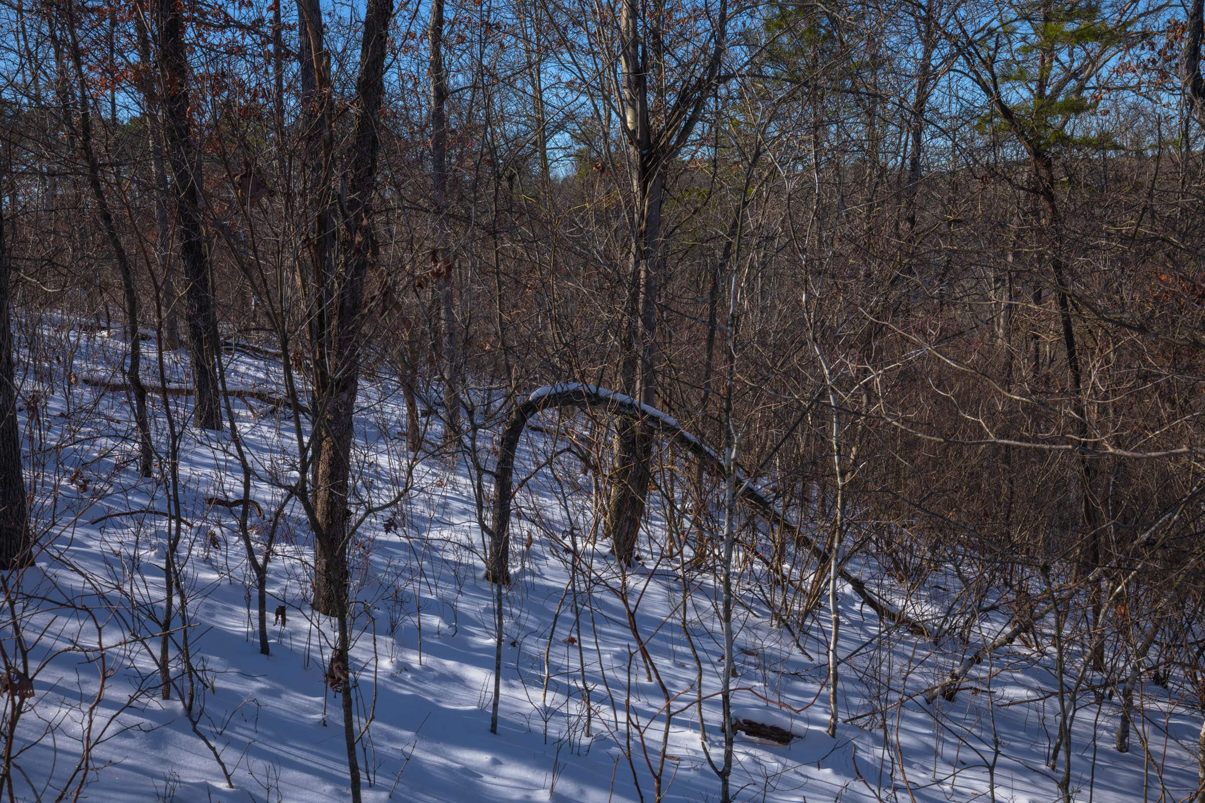 Sleepy Hollow Phase I Tract 18 photo 12