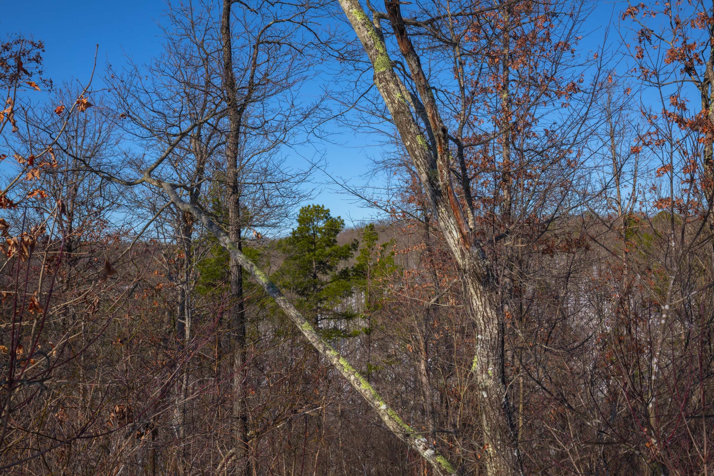 Sleepy Hollow Phase I Tract 18 photo 8
