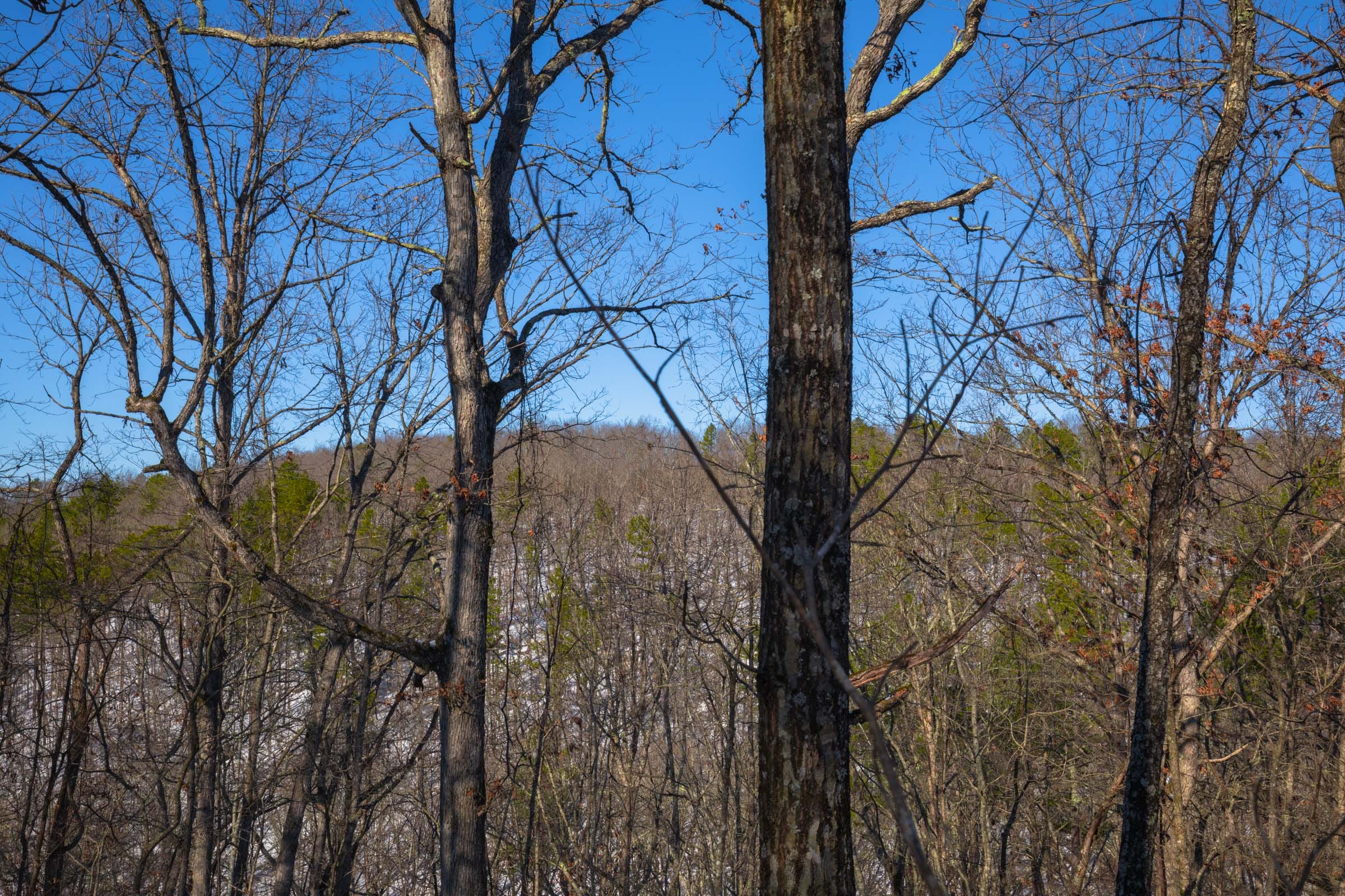 Sleepy Hollow Phase I Tract 18 photo 6