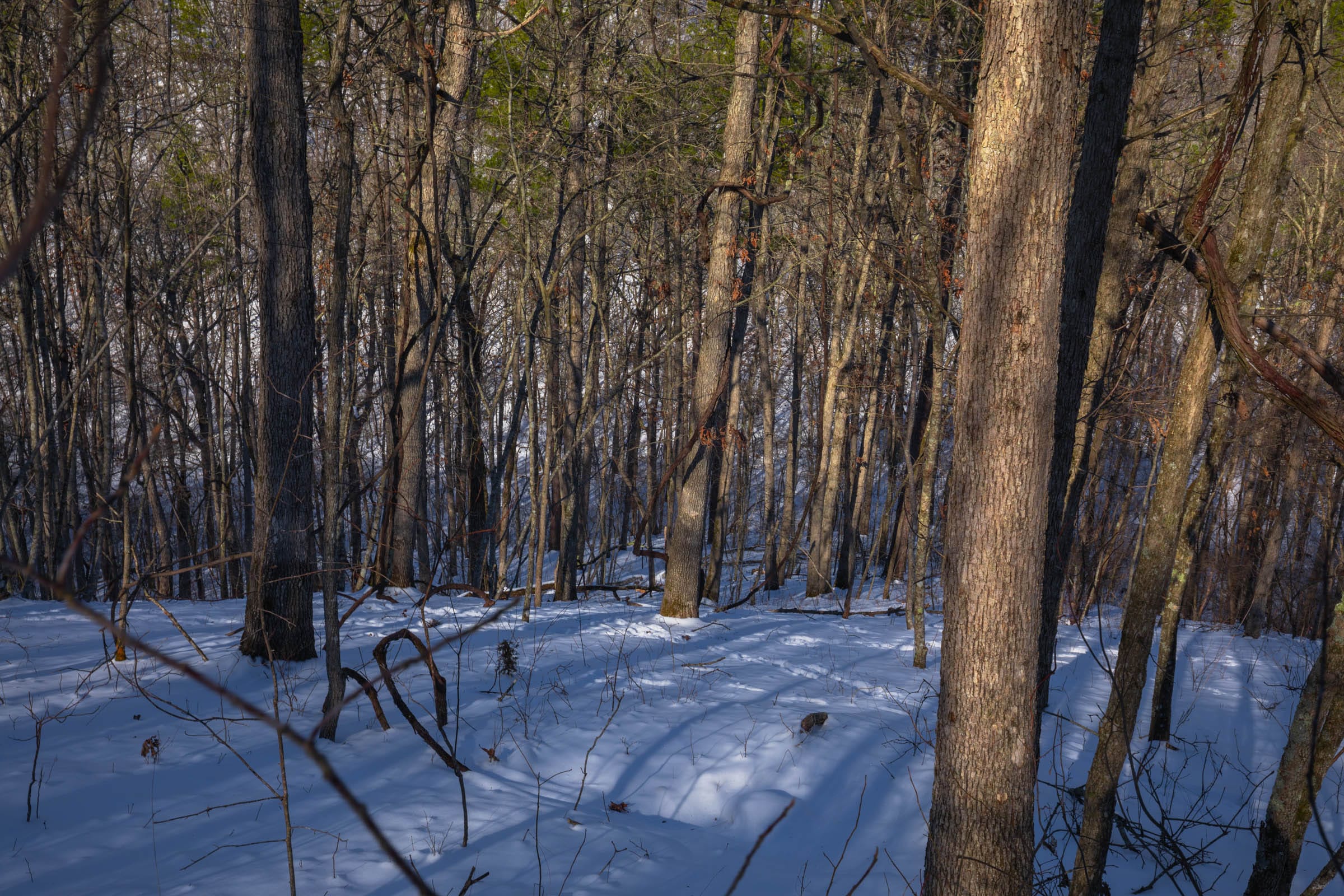Sleepy Hollow Phase I Tract 18 photo 2