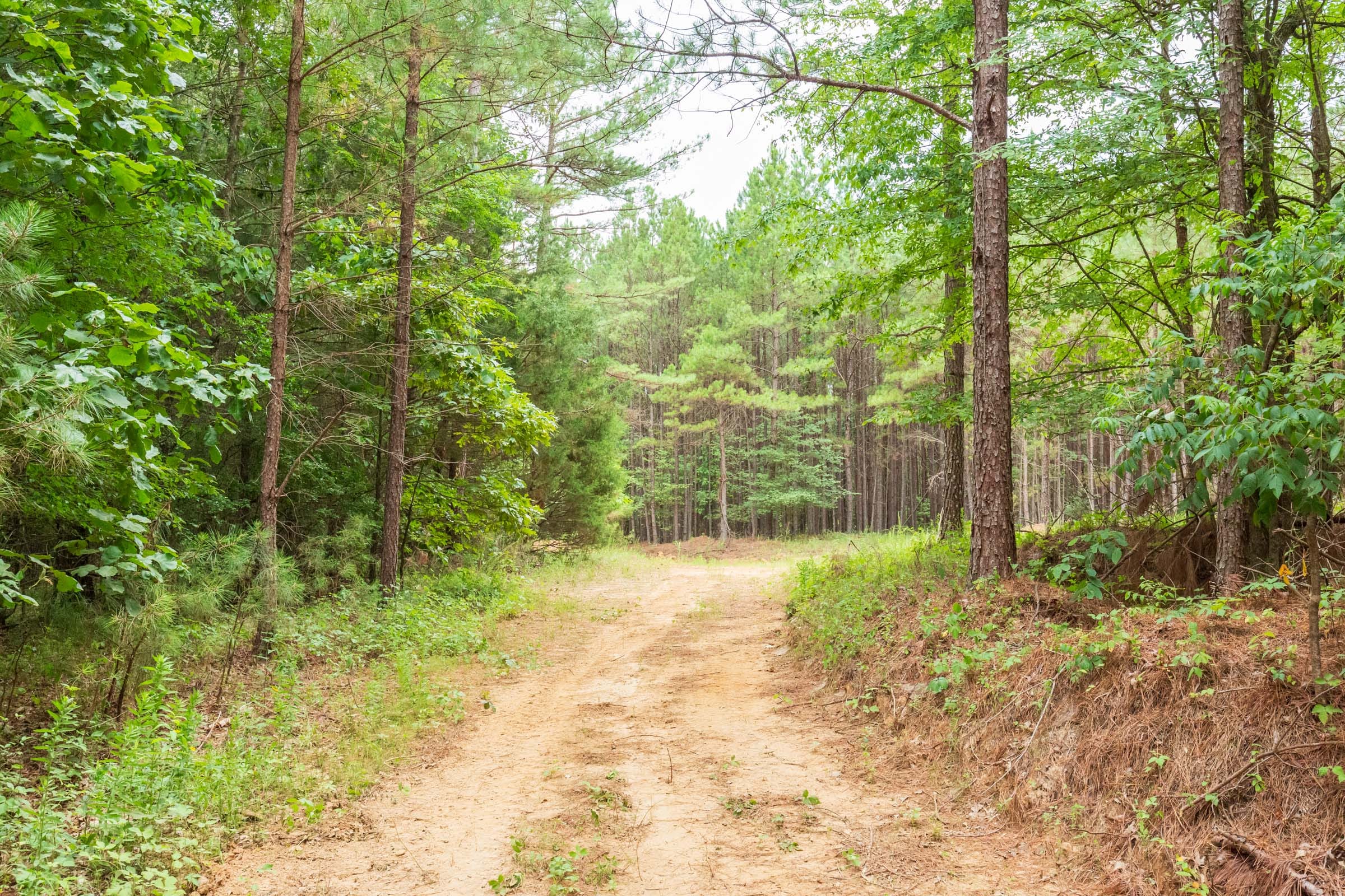 Whiskey Ridge Tract 77 photo 2