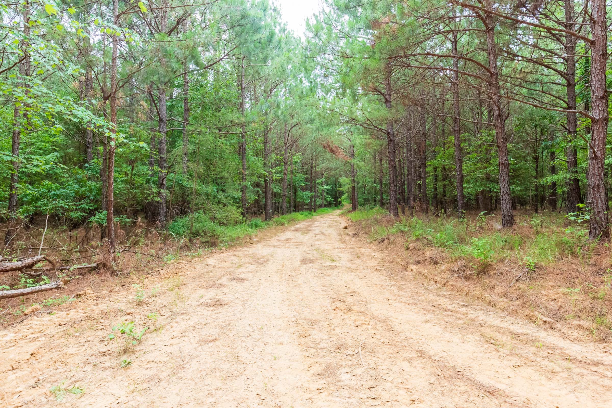 Whiskey Ridge Tract 77 photo 16