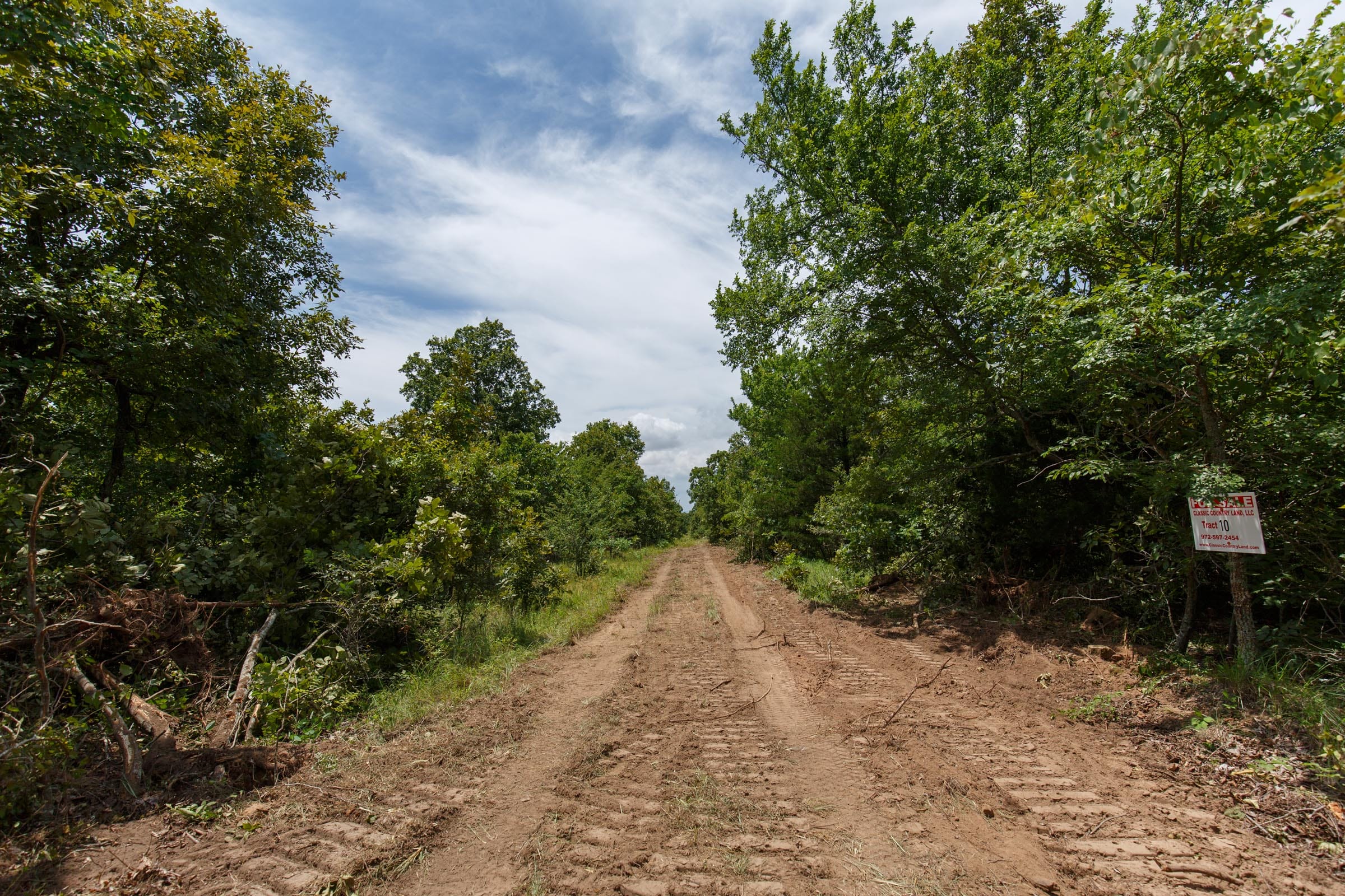 Timber Ridge Tract 19 photo 1