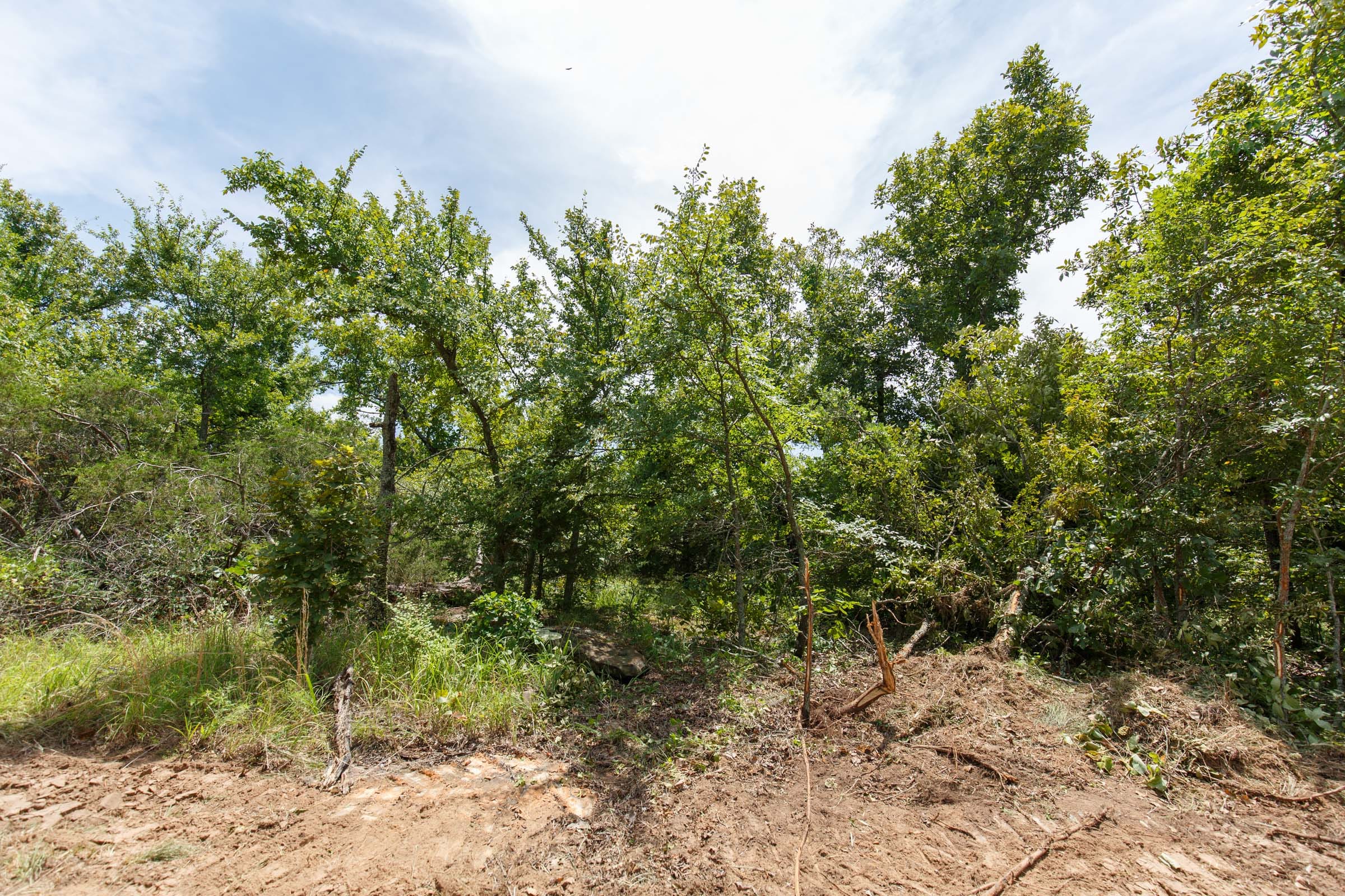 Timber Ridge Tract 19 photo 5