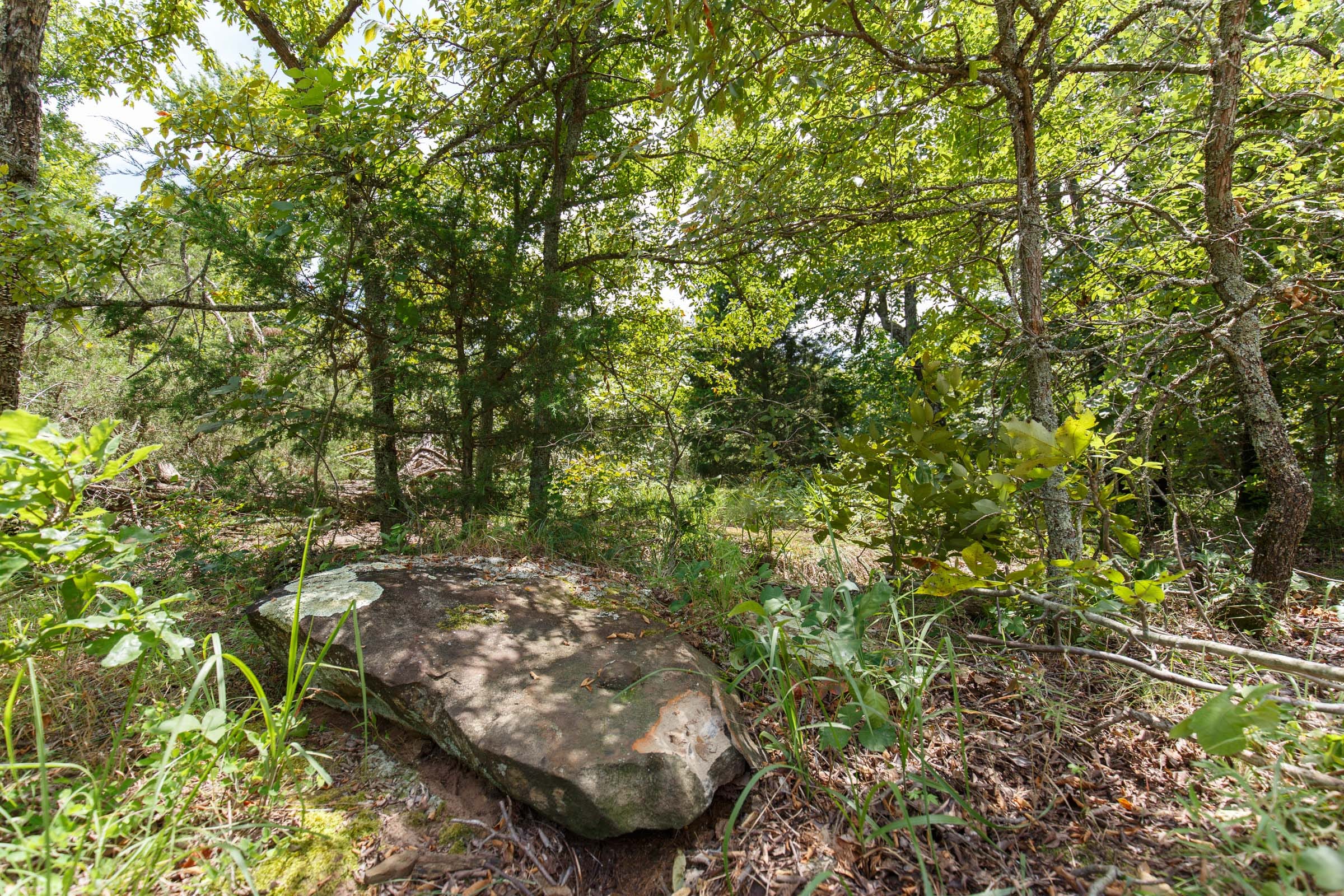 Timber Ridge Tract 19 photo 2