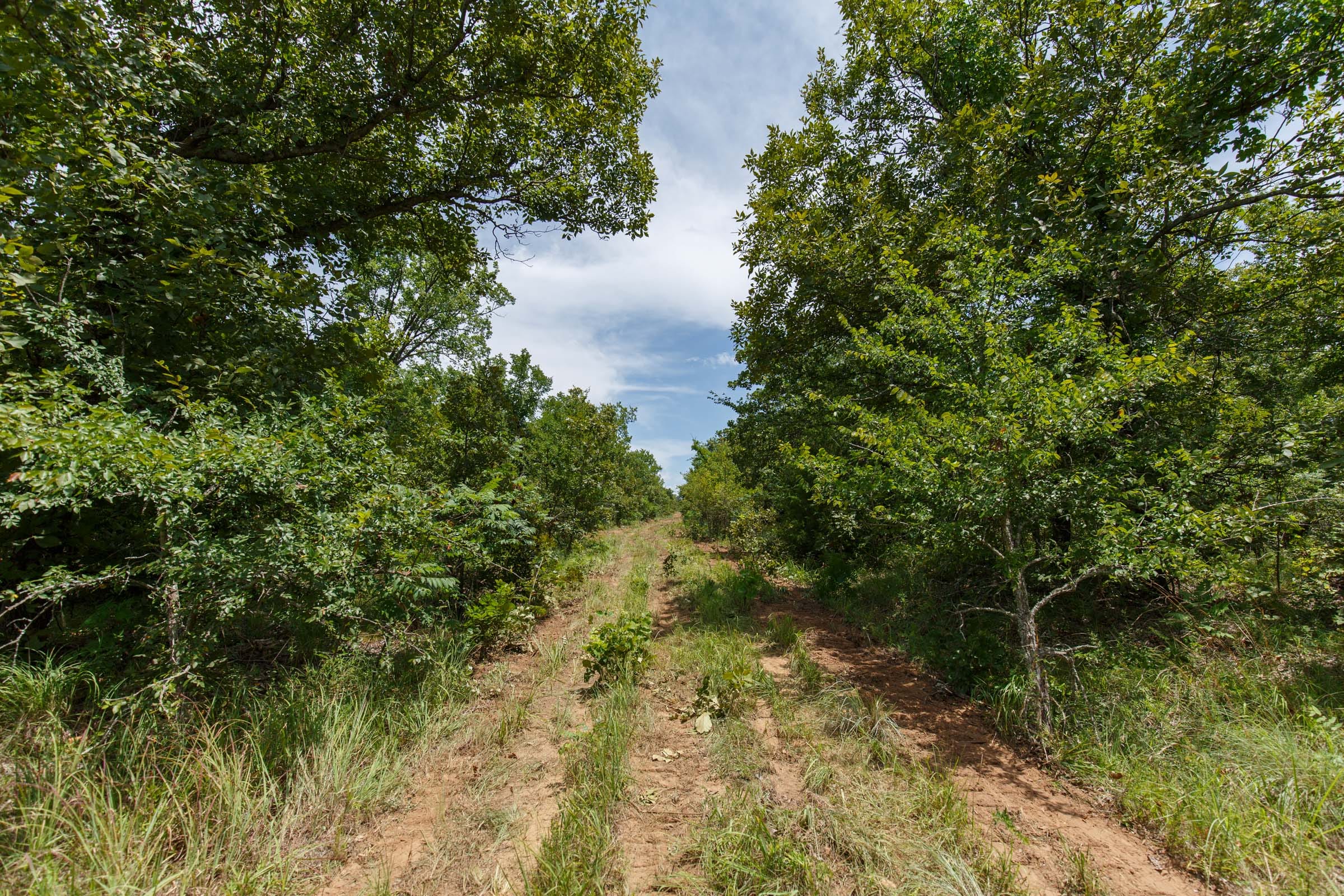 Timber Ridge Tract 19 photo 4