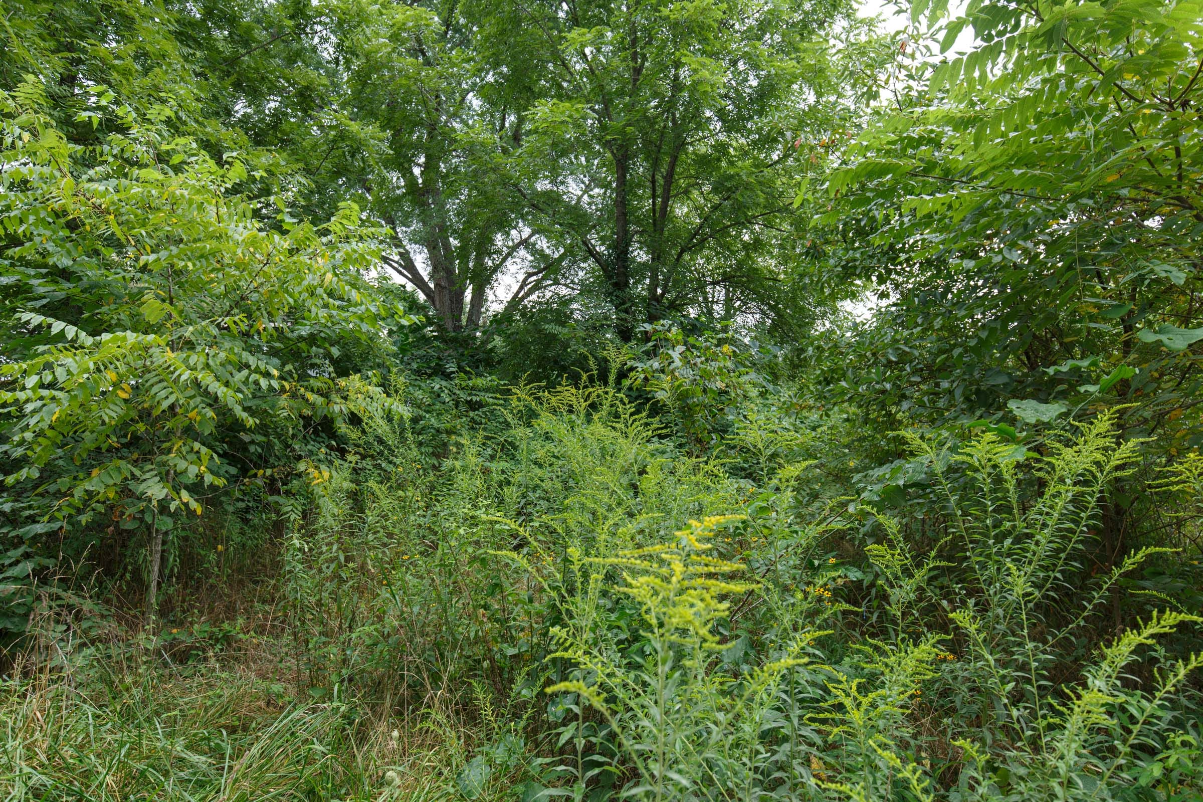 Spring Lake Plat 5 Tract 123 photo 4
