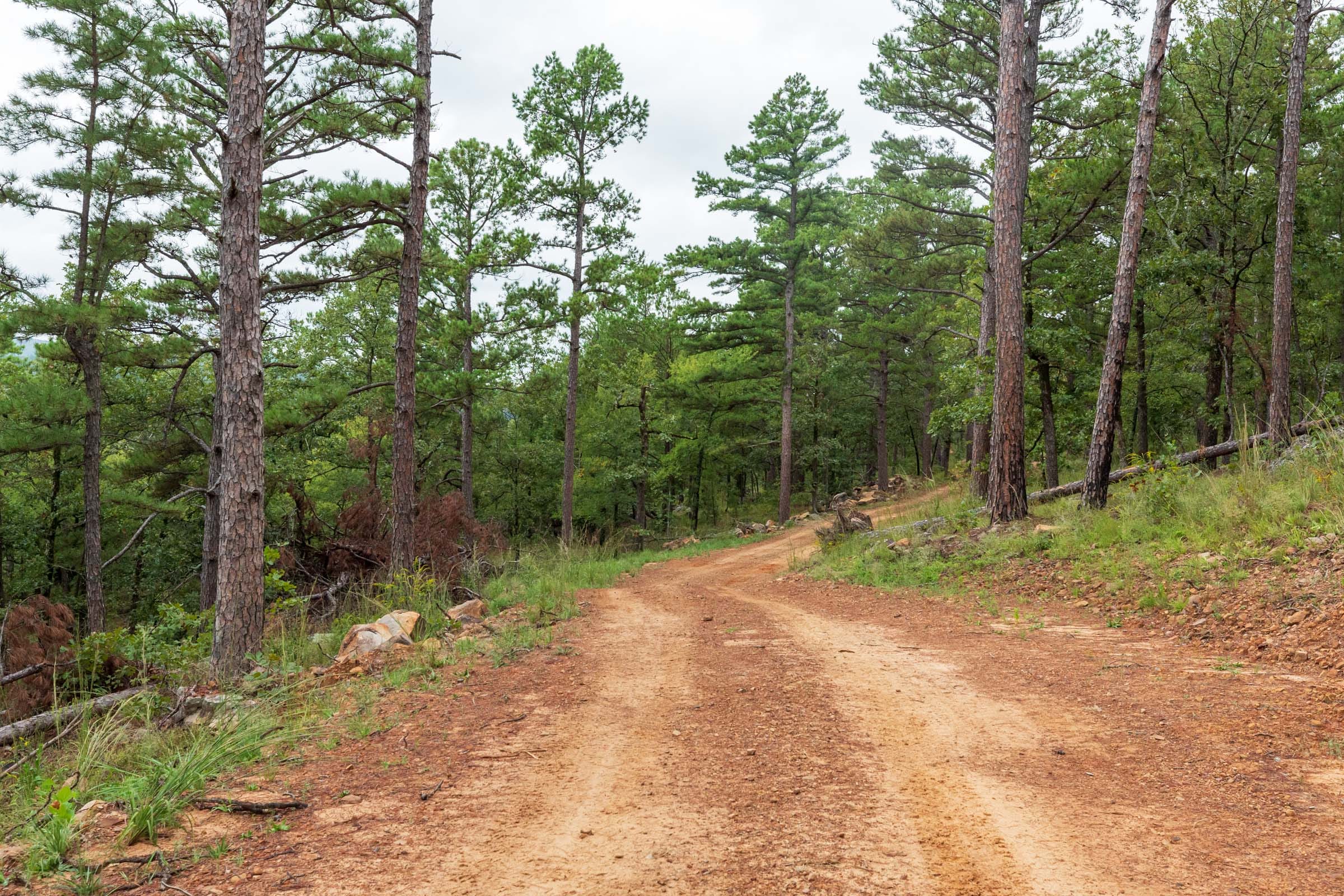 Stone Bridge Phase V Tract 425 photo 6