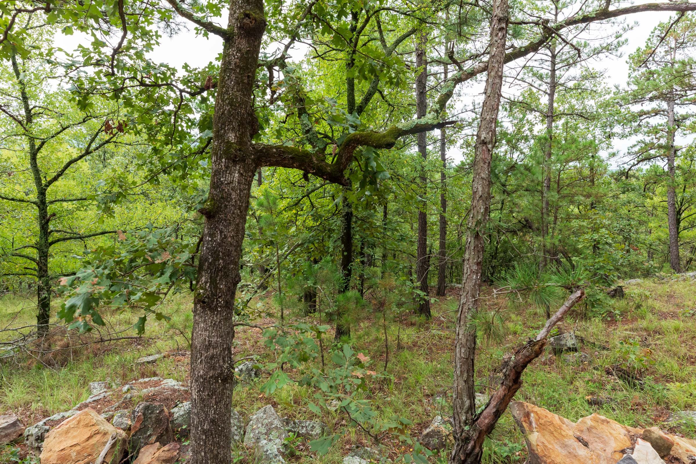 Stone Bridge Phase V Tract 425 photo 11