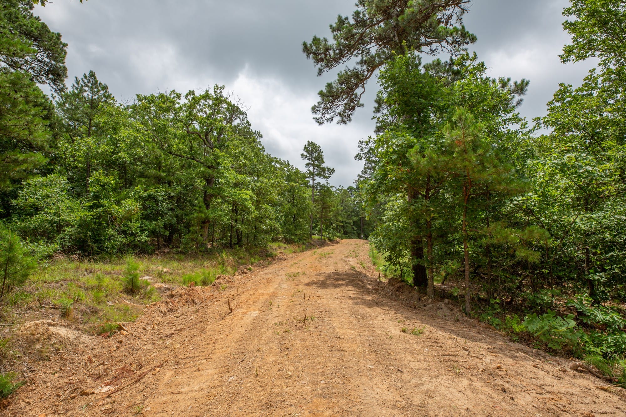 Eagle’s Nest Tract 81 photo 10