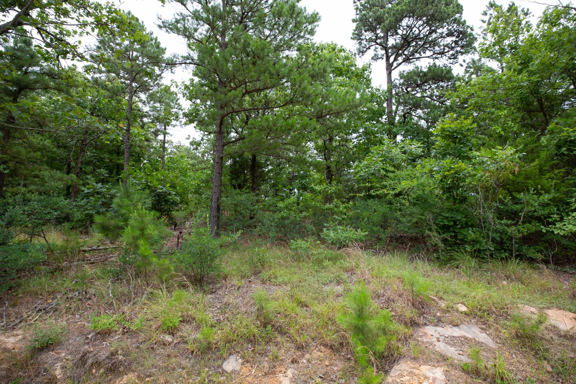 Eagle’s Nest Tract 81 photo 5