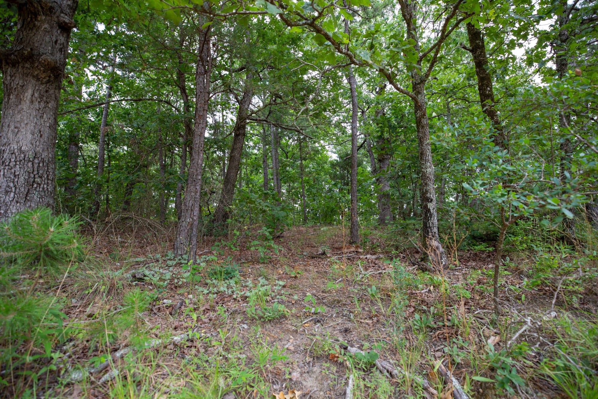 Eagle’s Nest Tract 81 photo 6