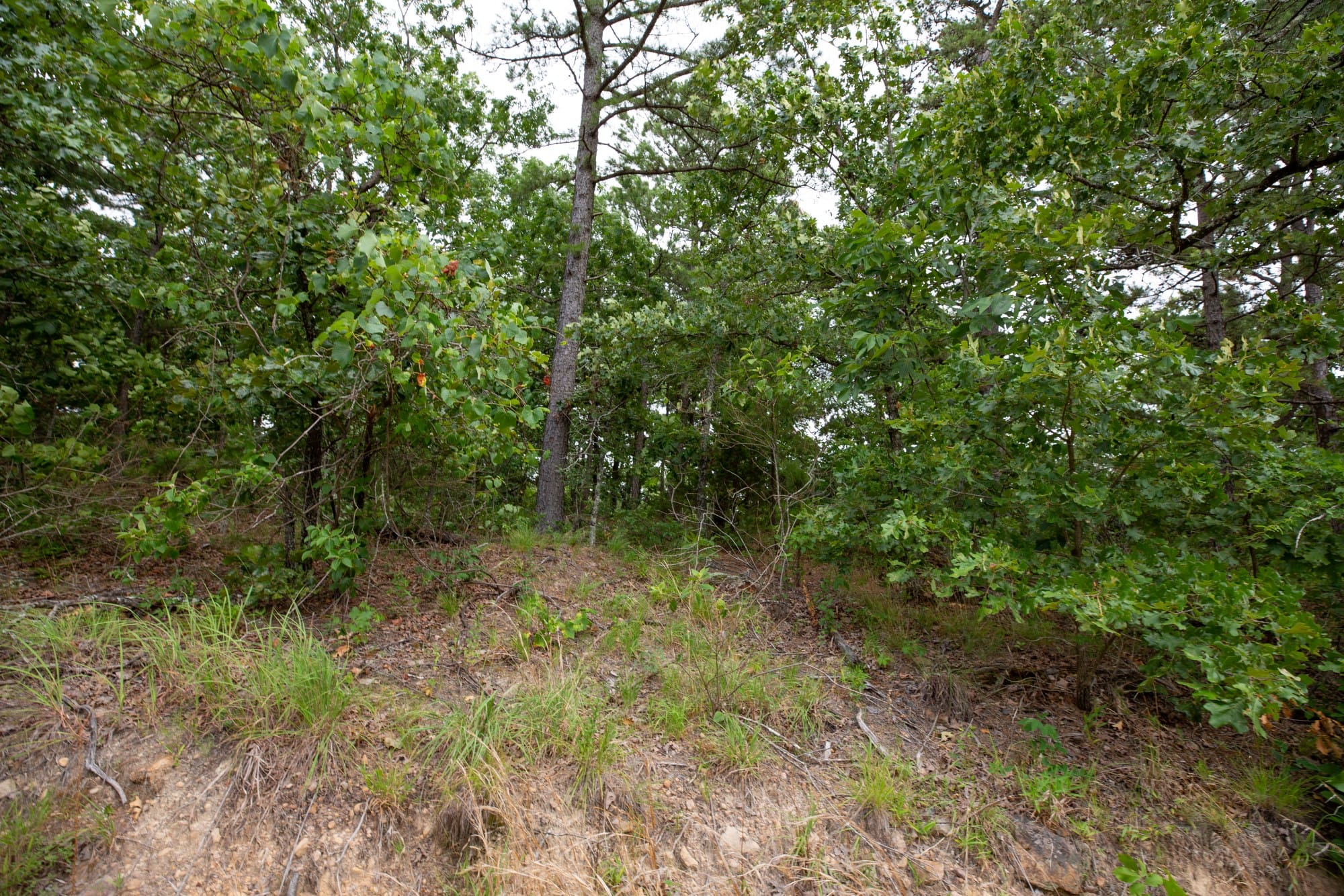 Eagle’s Nest Tract 81 photo 7
