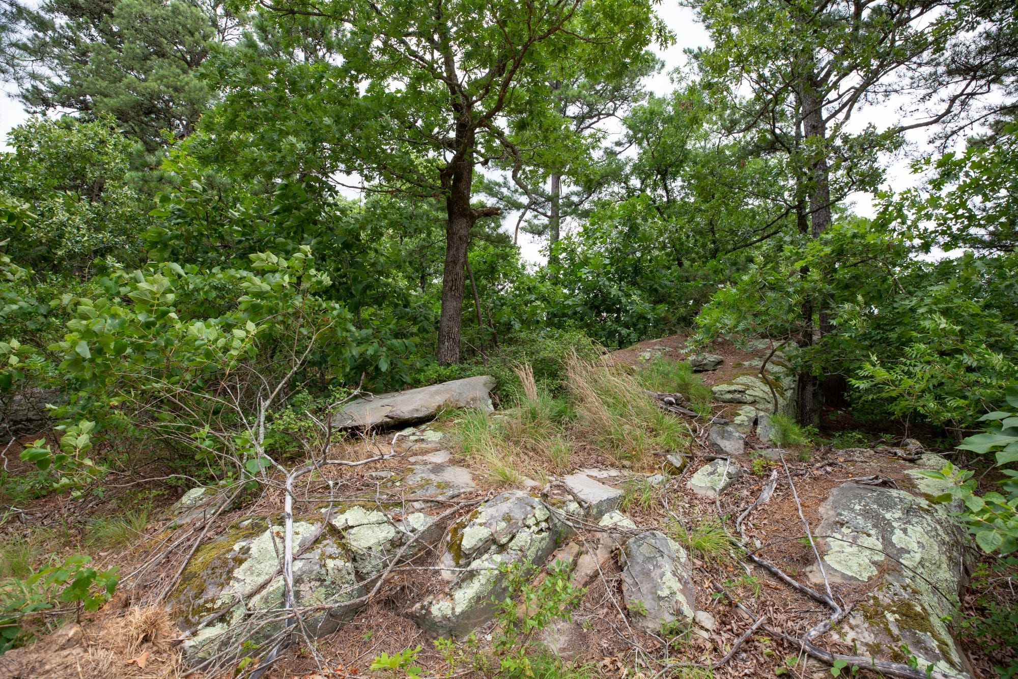 Eagle’s Nest Tract 81 photo 9