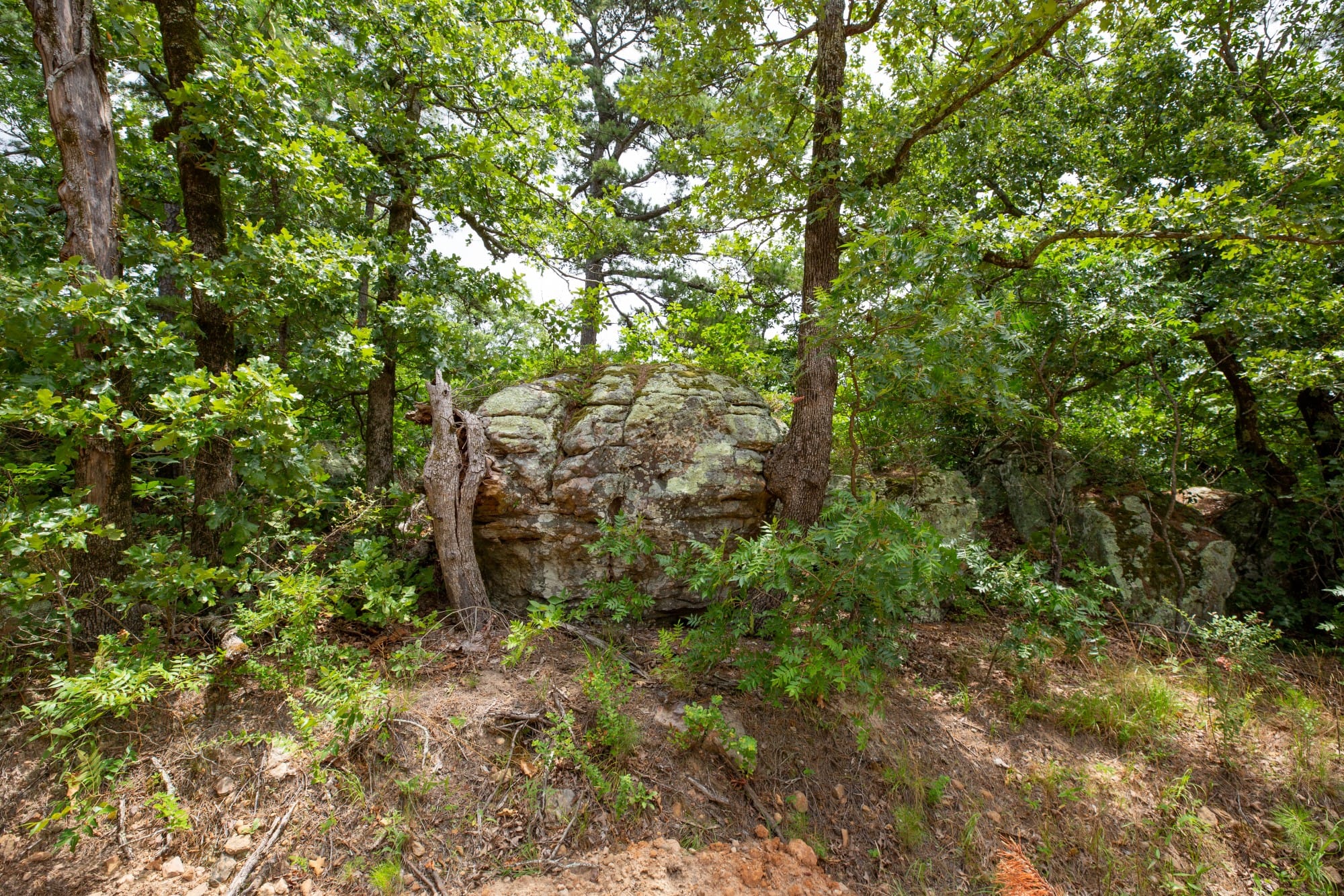 Eagle’s Nest Tract 81 photo 11