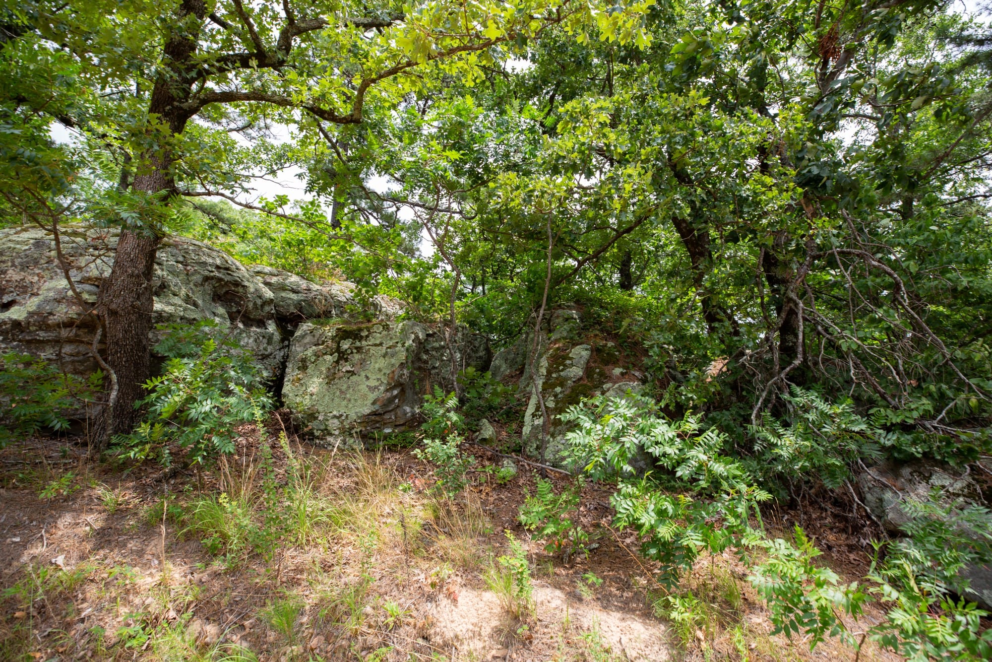 Eagle’s Nest Tract 81 photo 12