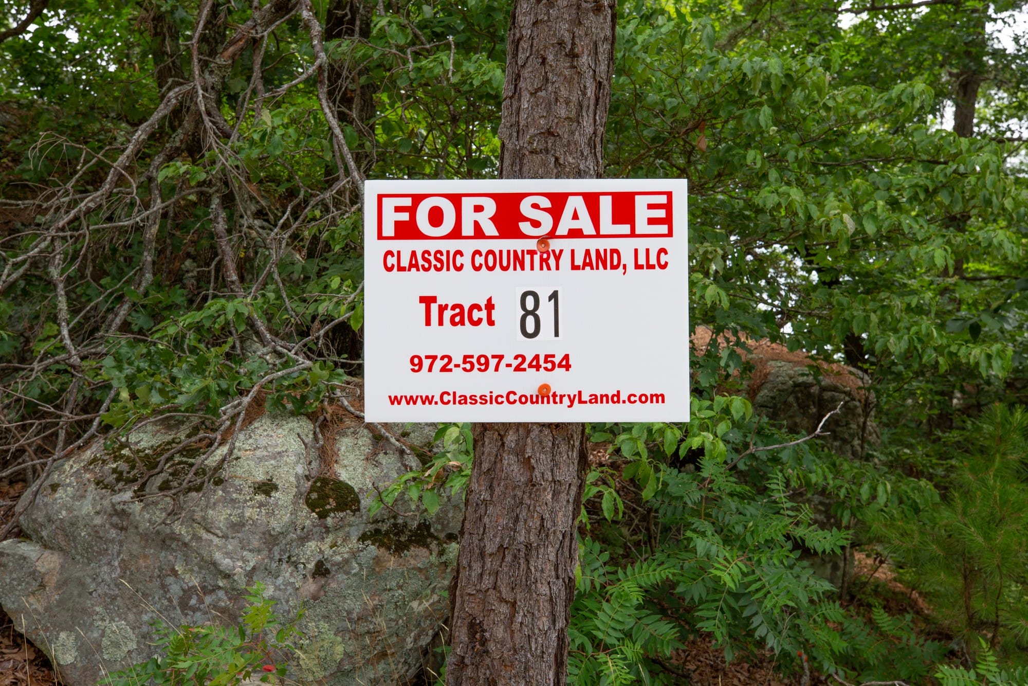 Eagle’s Nest Tract 81 photo 1