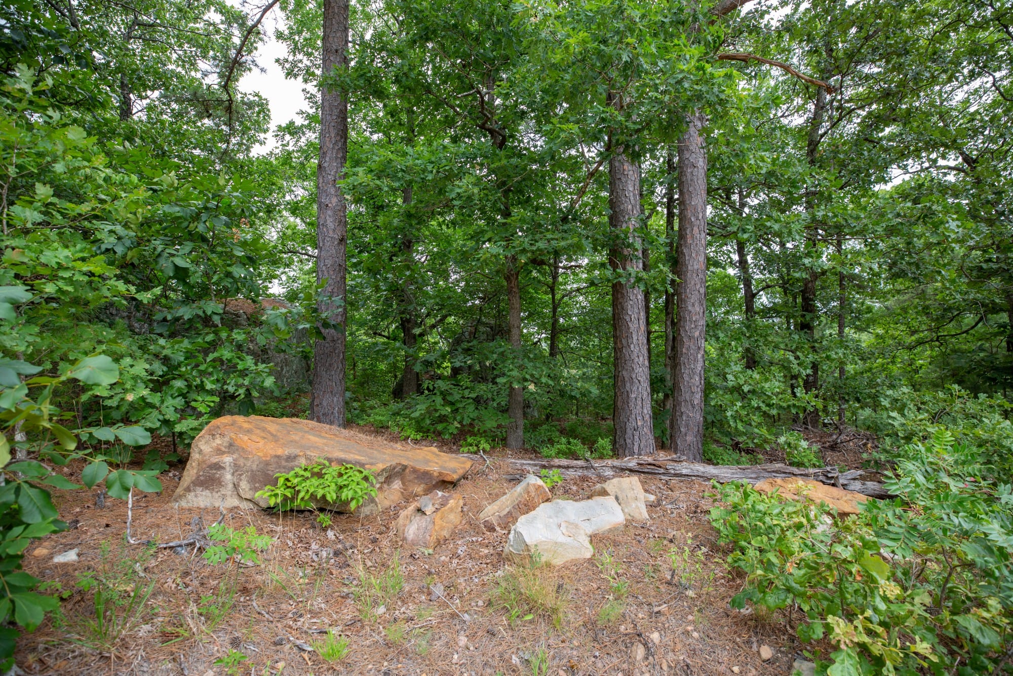 Eagle’s Nest Tract 81 photo 13