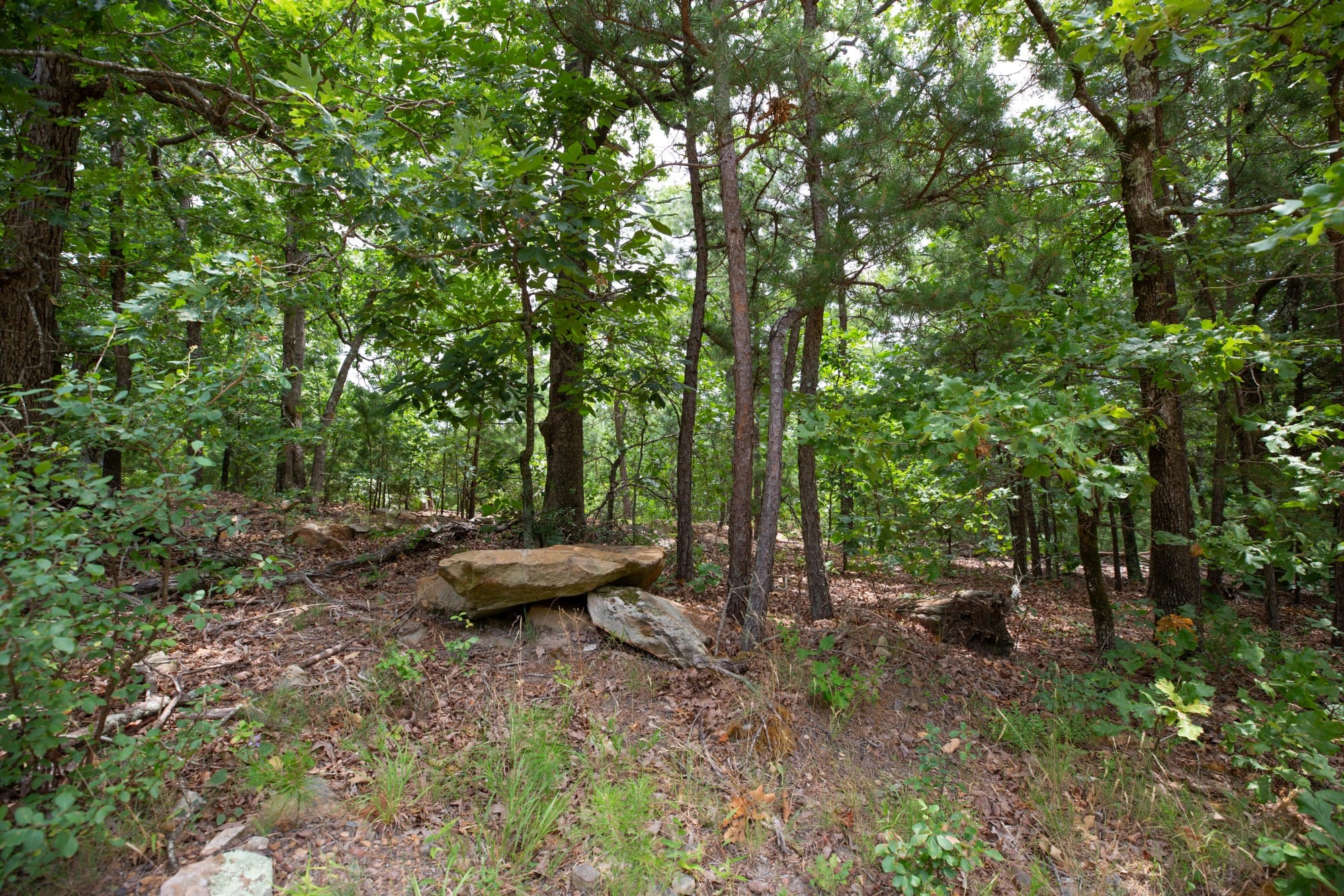 Eagle’s Nest Tract 81 photo 14