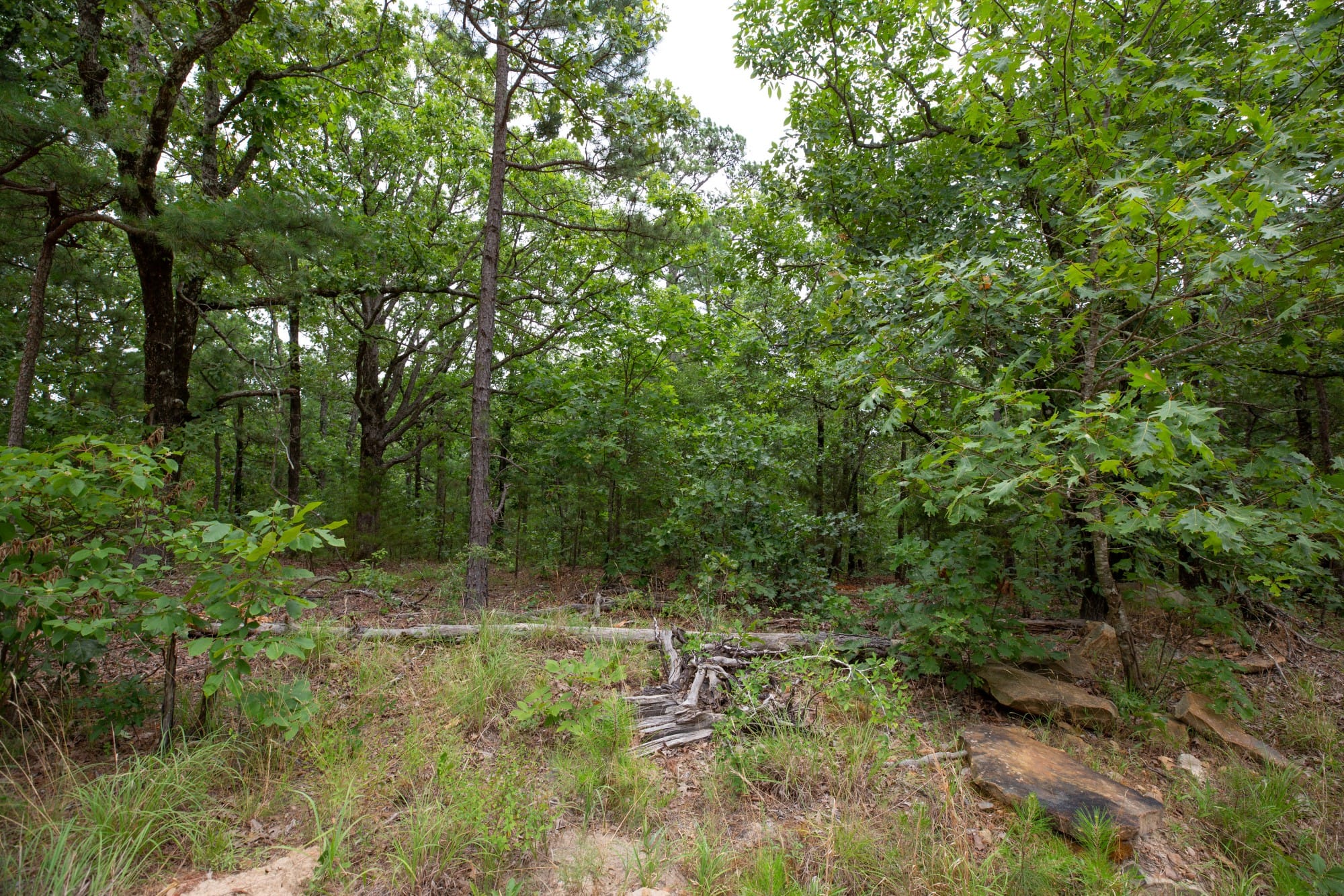 Eagle’s Nest Tract 81 photo 16
