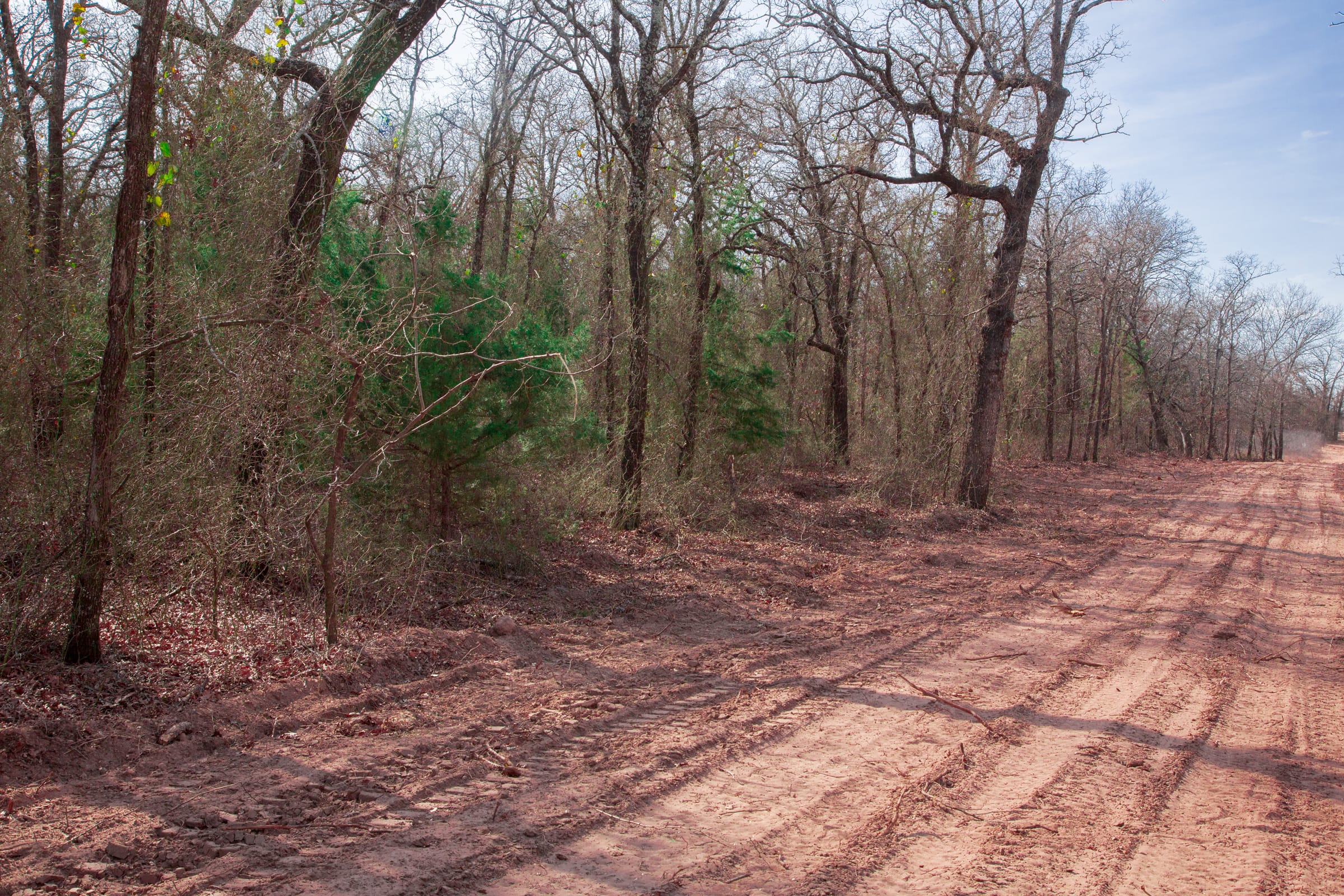 Legacy Ranch Tract 15 photo 5