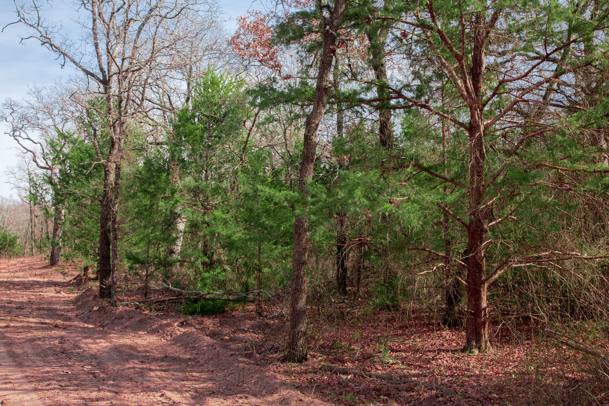 Legacy Ranch Tract 15 photo 3